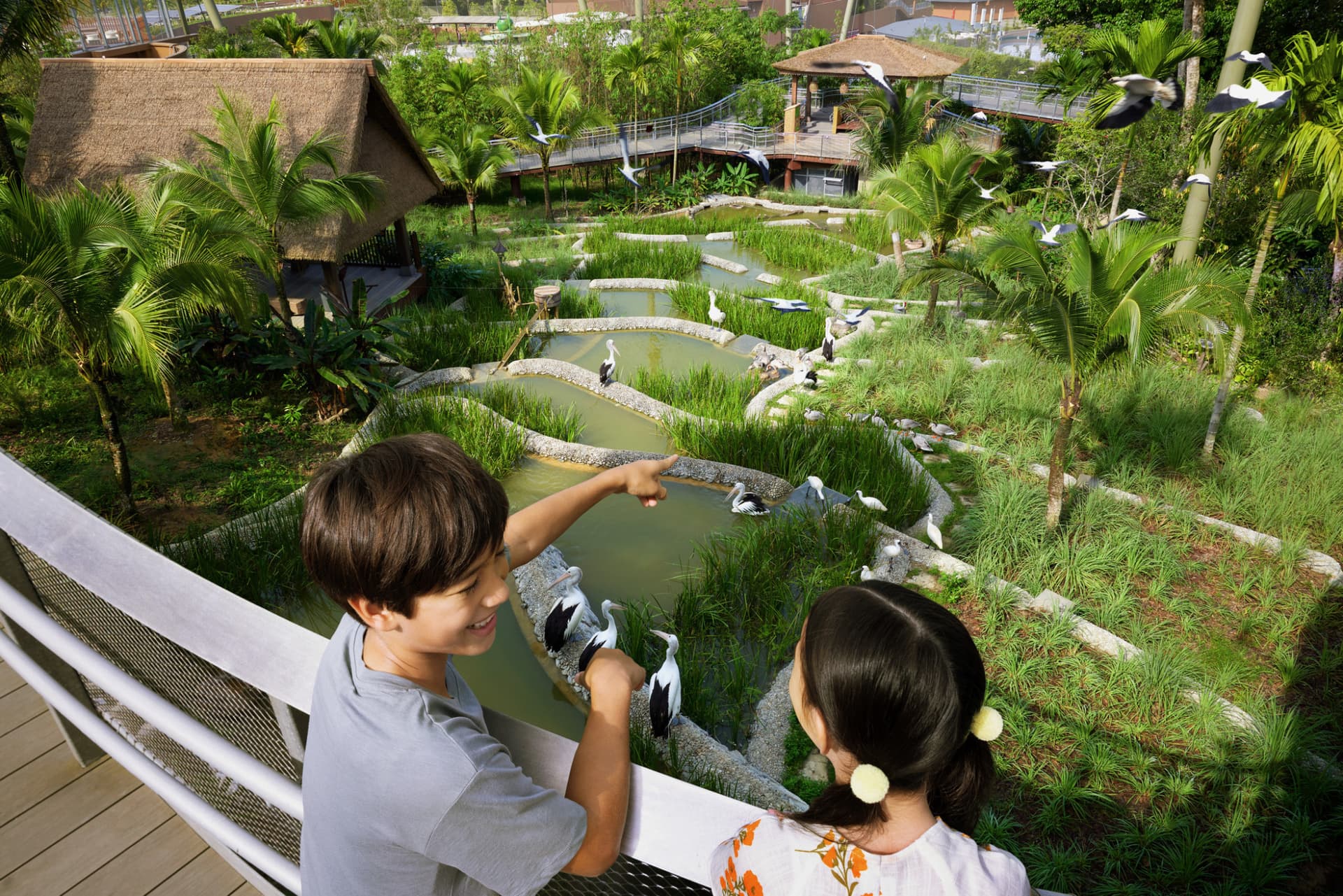 Singapore Bird Paradise Ticket - تصویر 9