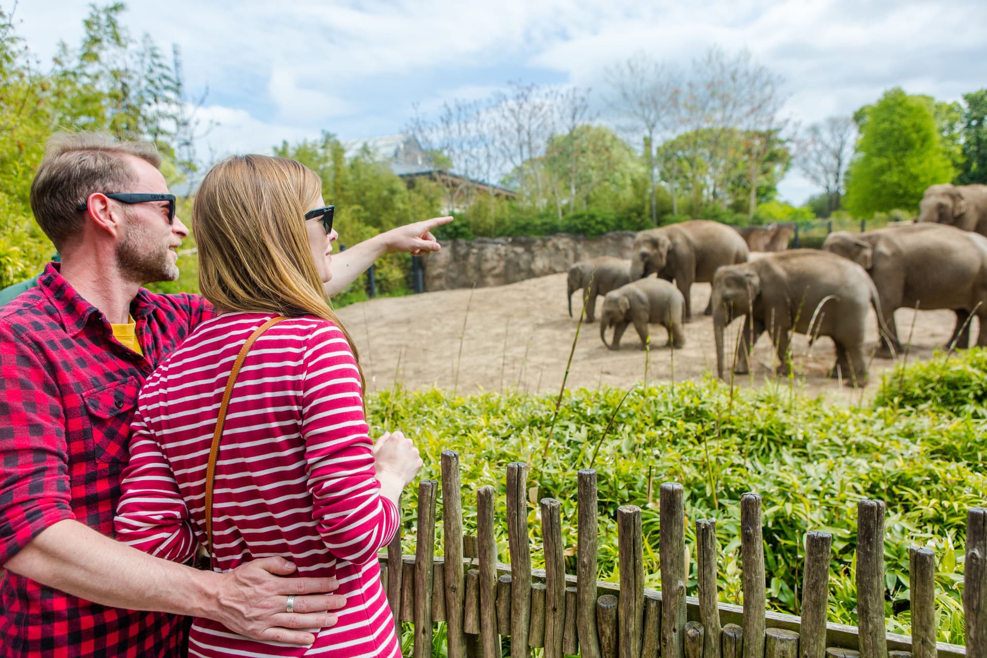 Go City Dublin Explorer Pass: Save up to 50% on Attractions - تصویر 9