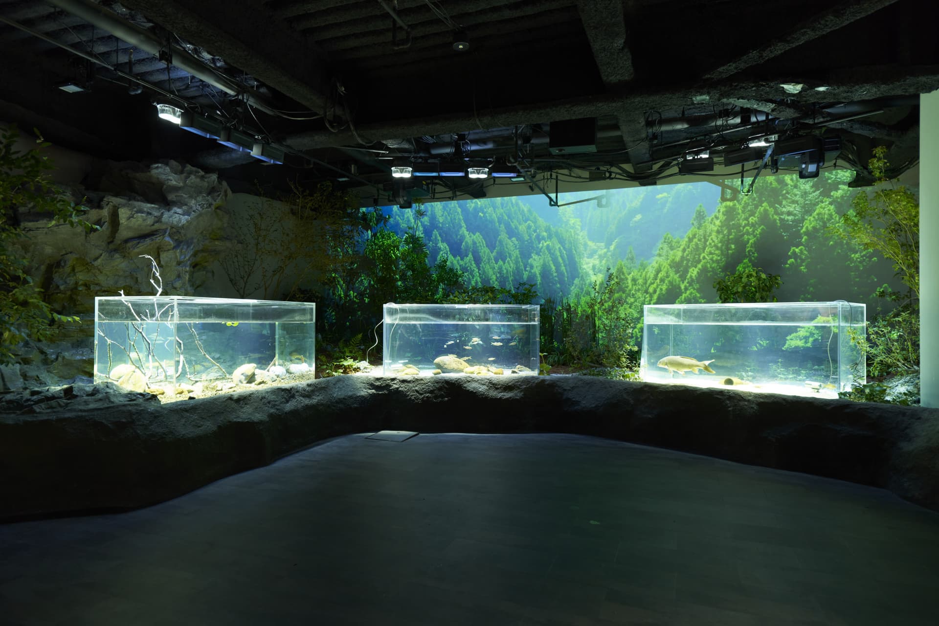 Kawasaki Aquarium Ticket - تصویر 11