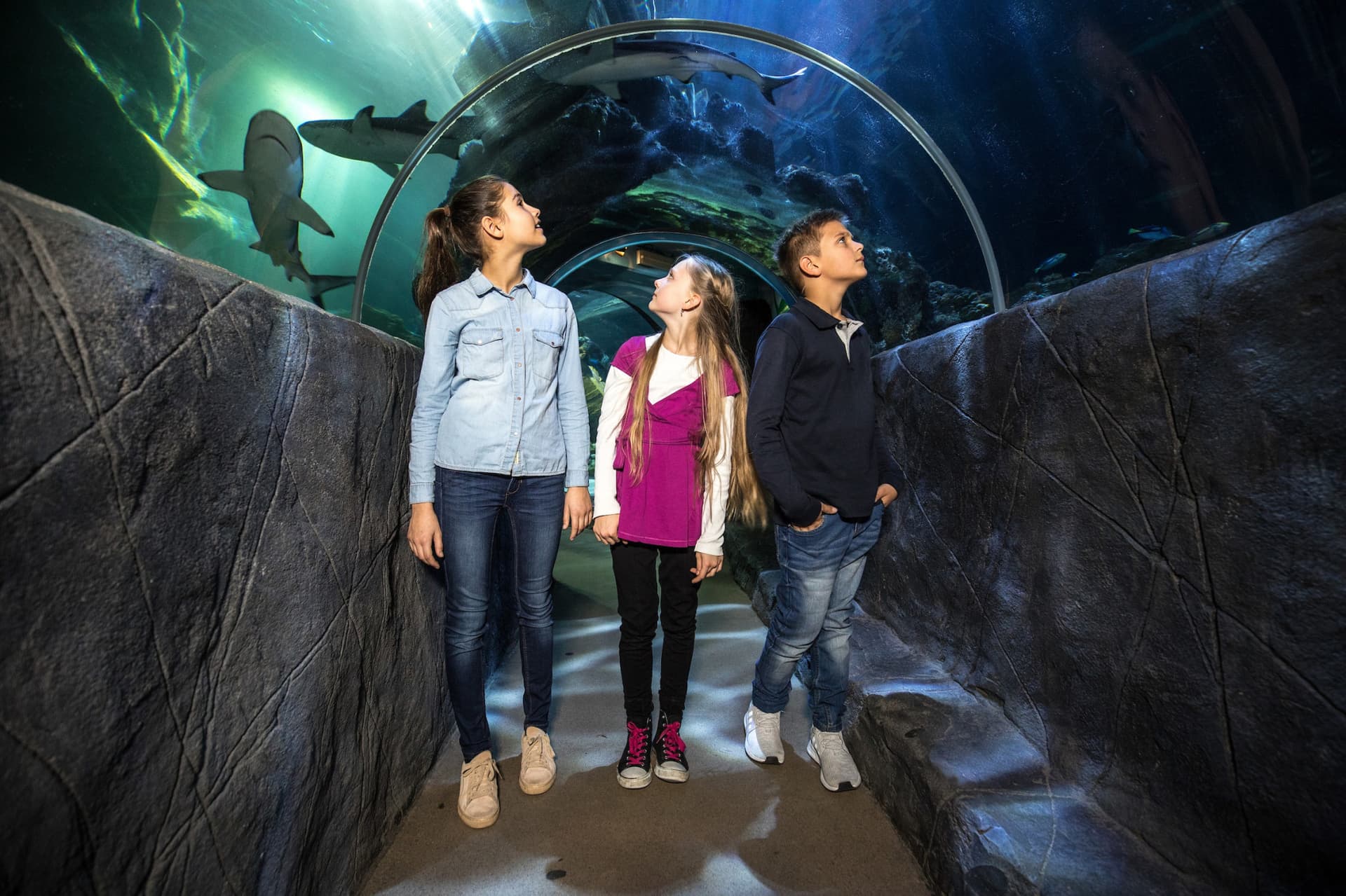 SEA LIFE Munich Aquarium Ticket - تصویر 2