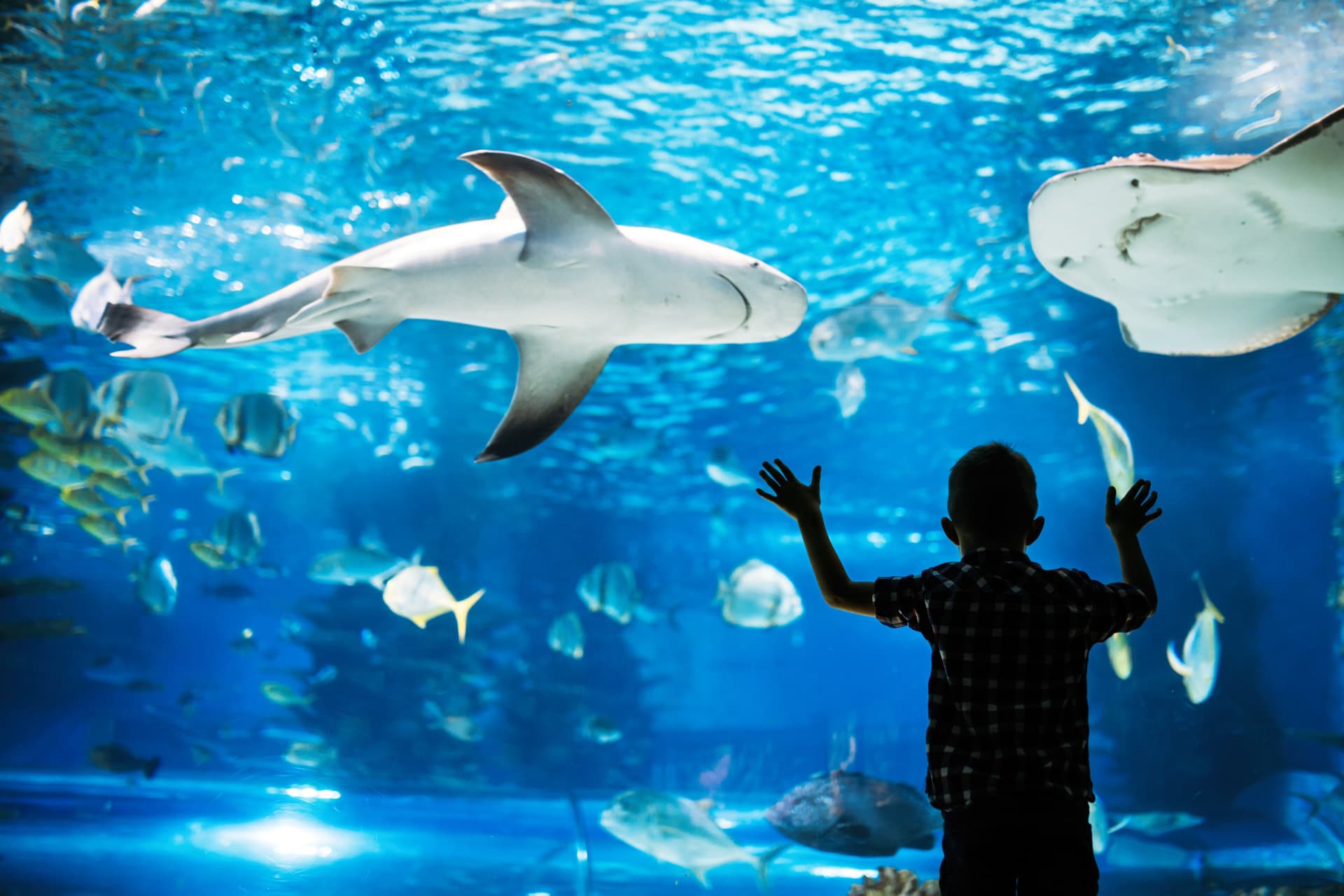 Go City Philadelphia Explorer Pass: Save up to 50% on Attractions - تصویر 5