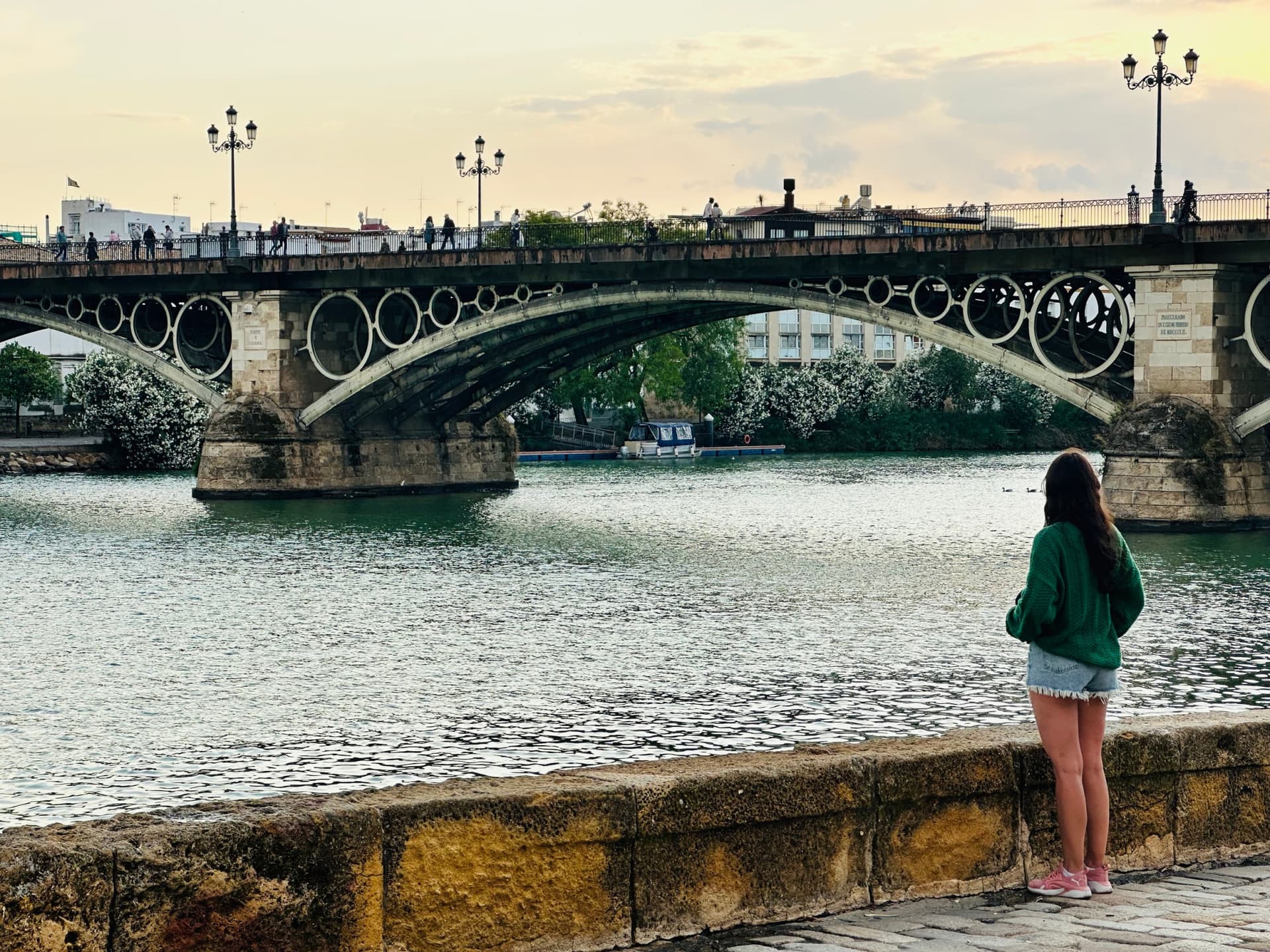 Seville Highlights Tour: Royal Alcazar of Seville, Triana Bridge, Flamenco Show - تصویر اصلی