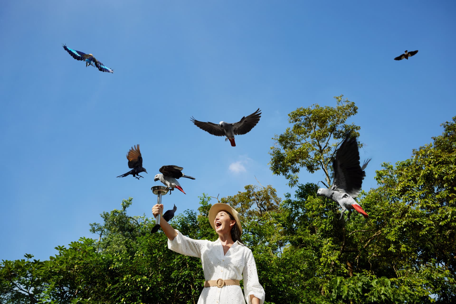 Mandai Destination Pass: Visit Up to 6 Attractions in 1 or 5 Days - تصویر 21