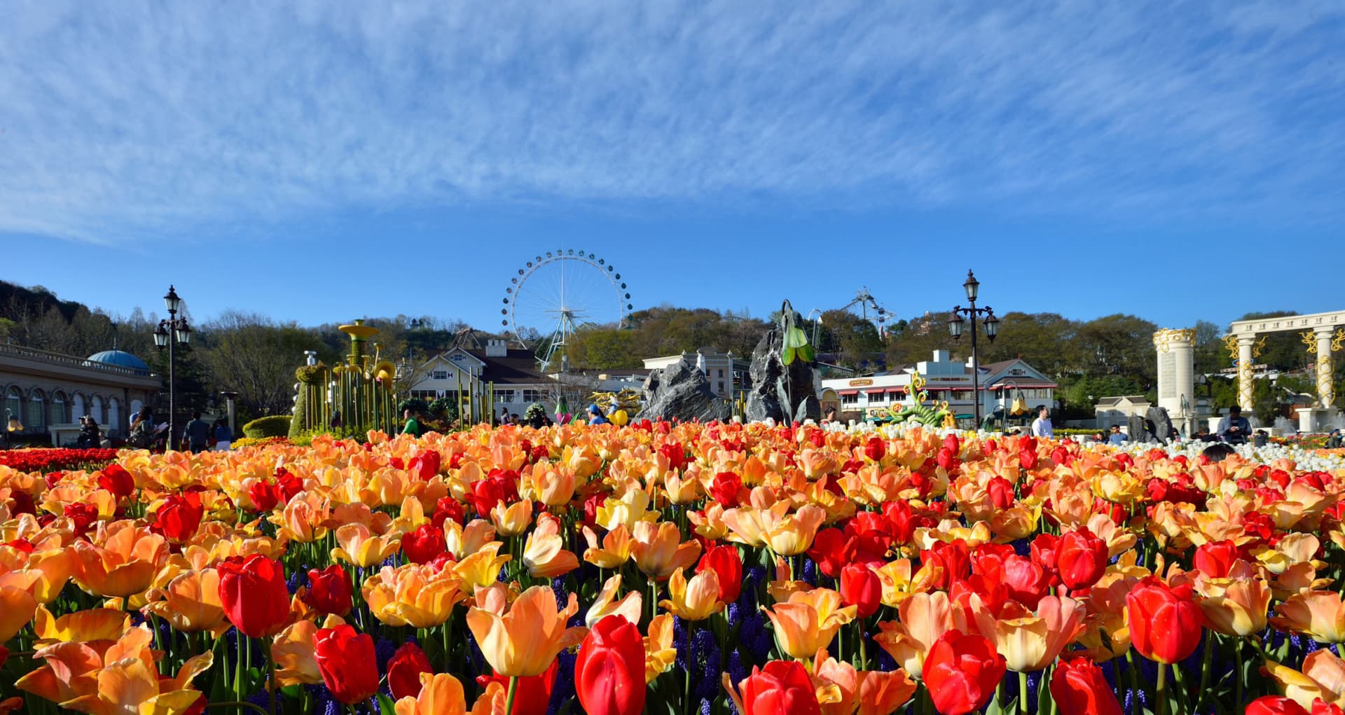 Everland Theme Park Ticket - تصویر 16