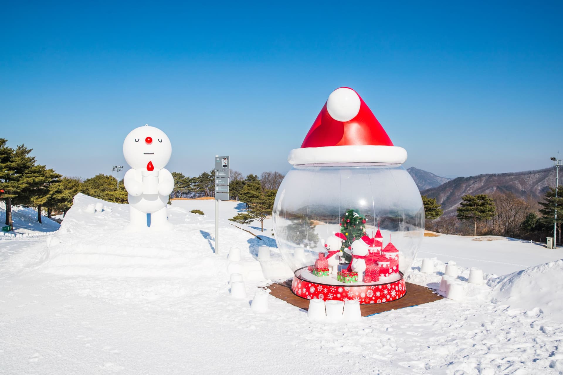 Strawberry Picking, Vivaldi Park, and Eobi Ice Valley Full-Day Tour from Seoul - تصویر 8