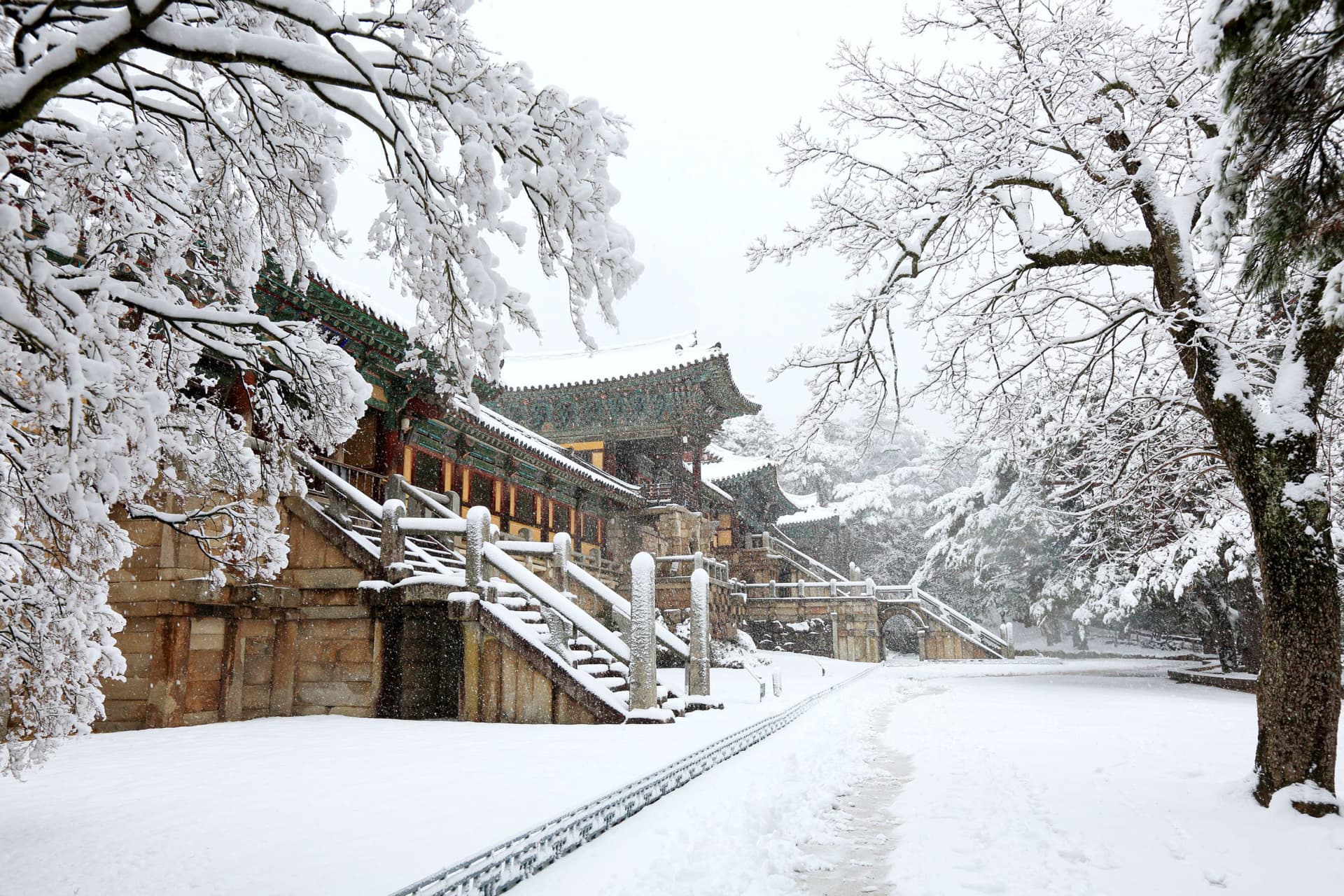 Gyeongju Kookmin Healing Park, Bulguksa, Woljeong Bridge, Gyochon Village Full-Day Tour from Busan - تصویر 2