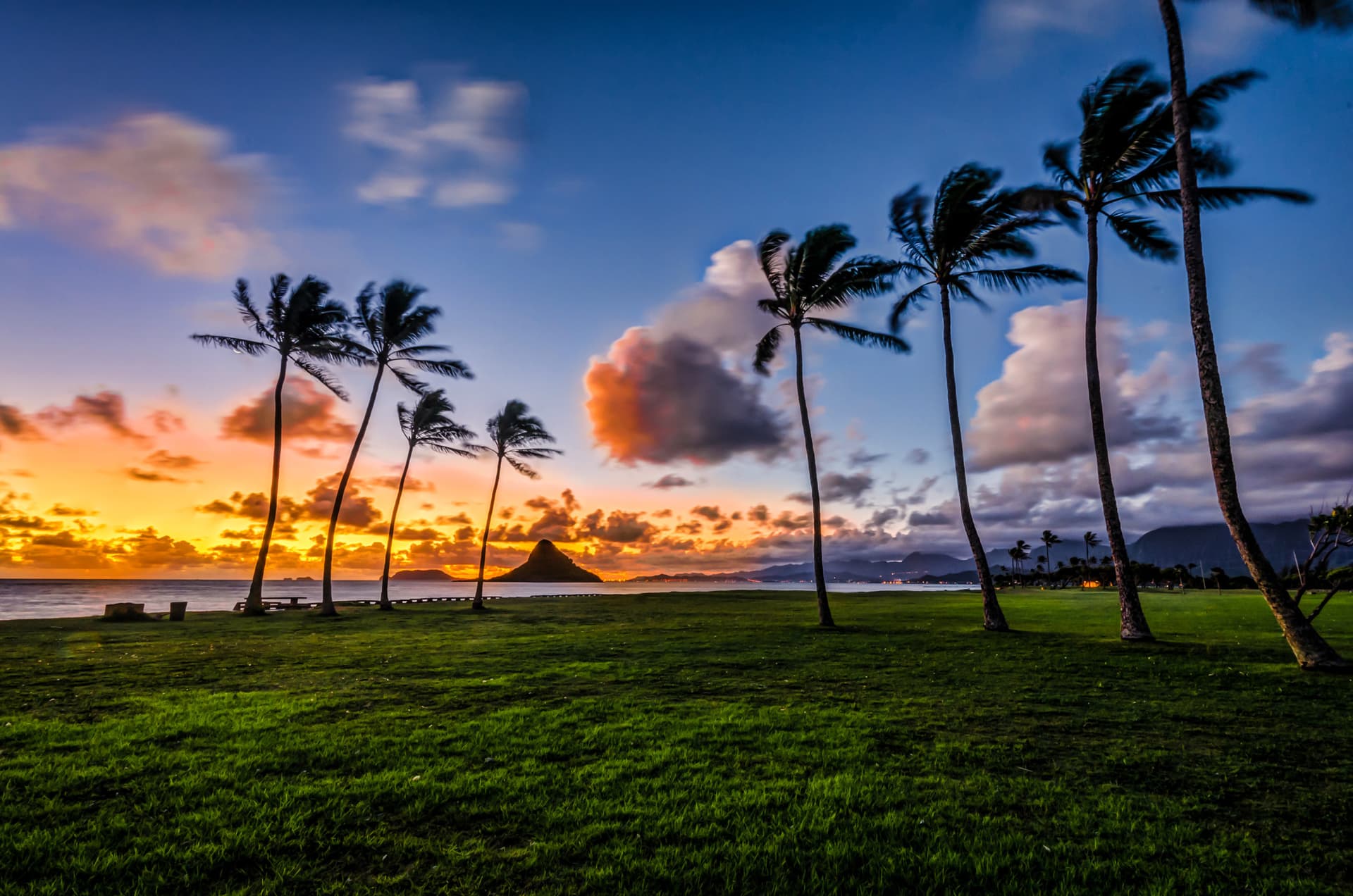 Go City Oahu All-Inclusive Pass: Save up to 50% on Attractions - تصویر 10