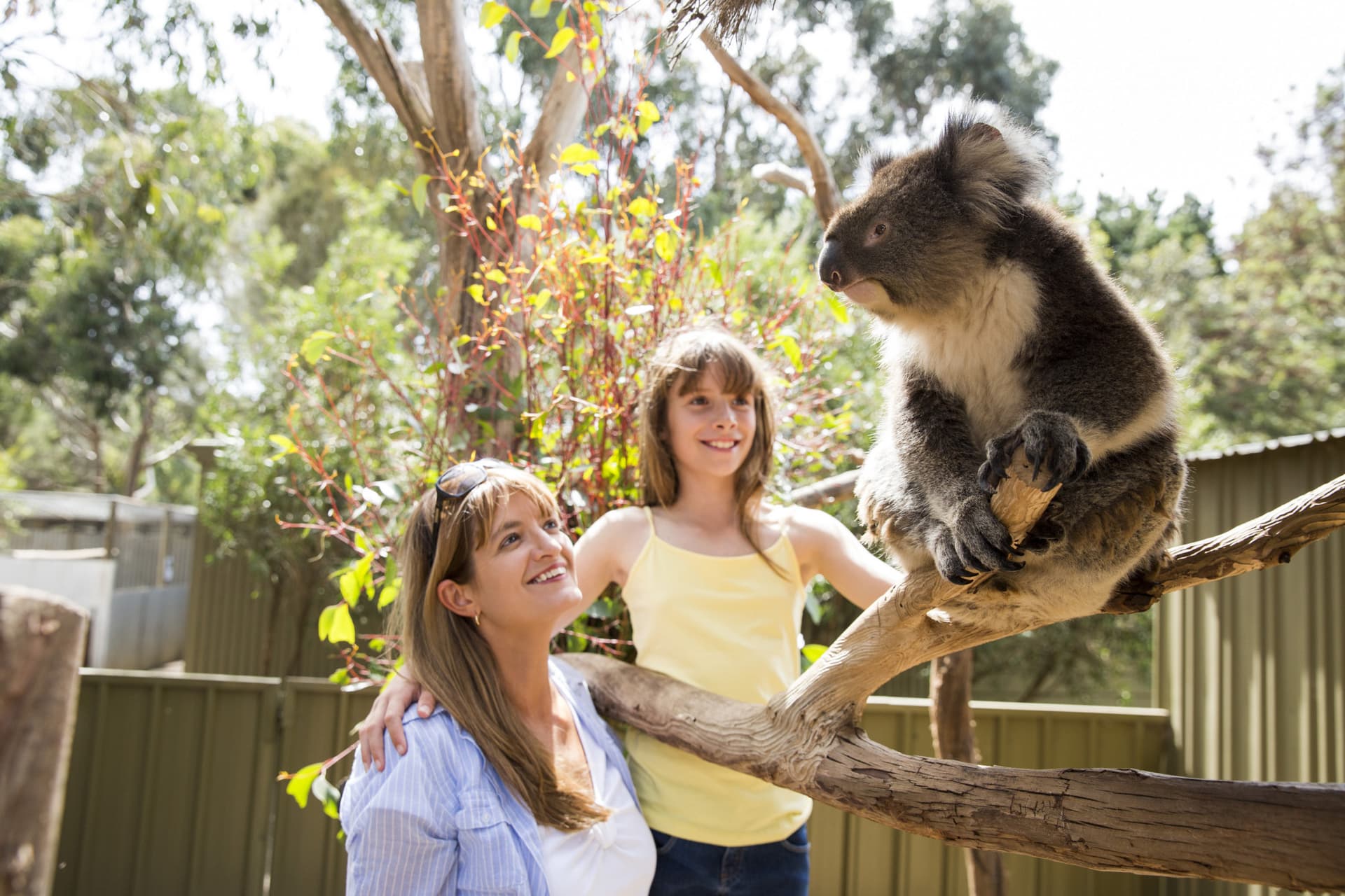 Kangaroo Island Tour from Adelaide - تصویر 8