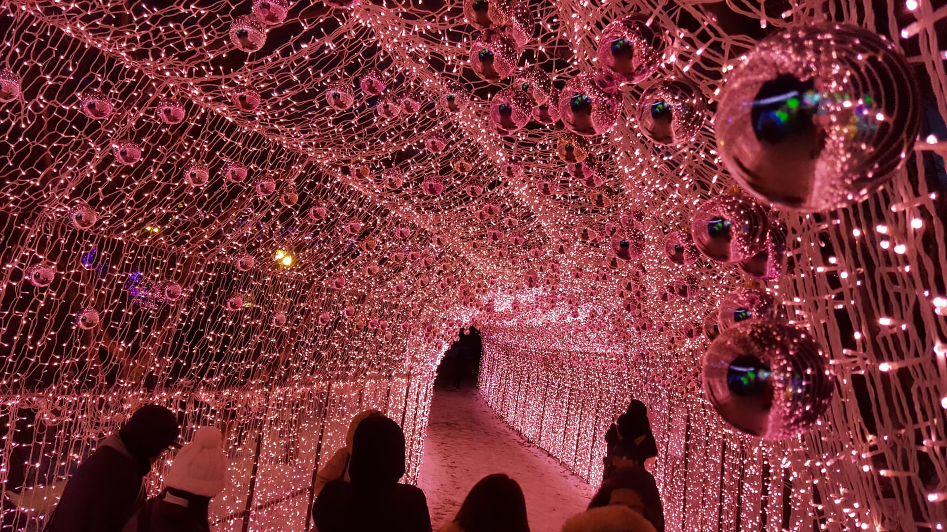 Nami Island, Mount Seorak, and Garden of Morning Calm Full-Day Tour from Seoul - تصویر 11