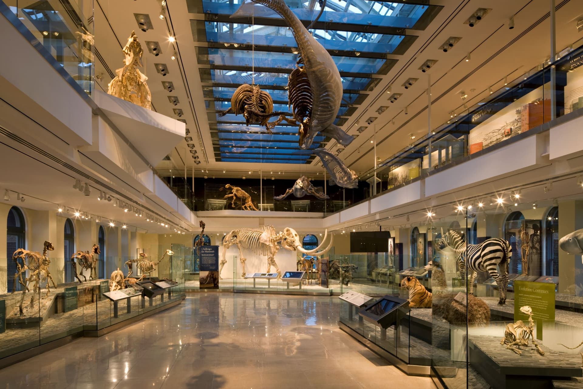 Go City Los Angeles Essentials Pass: 3 Attractions - تصویر 5