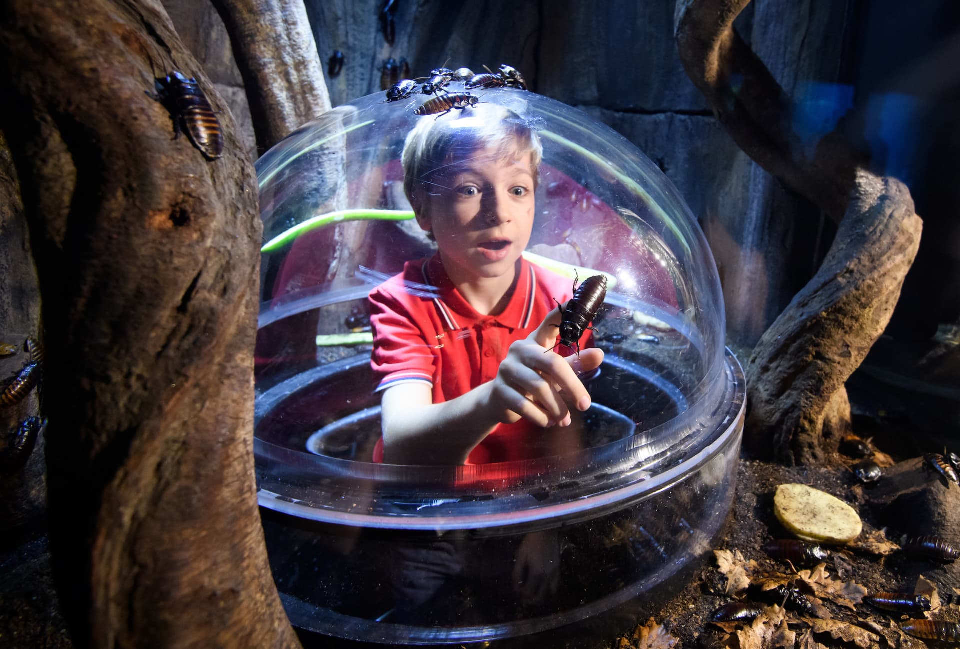 COMBO: Madame Tussauds London + SEA LIFE London Aquarium Ticket - تصویر 15