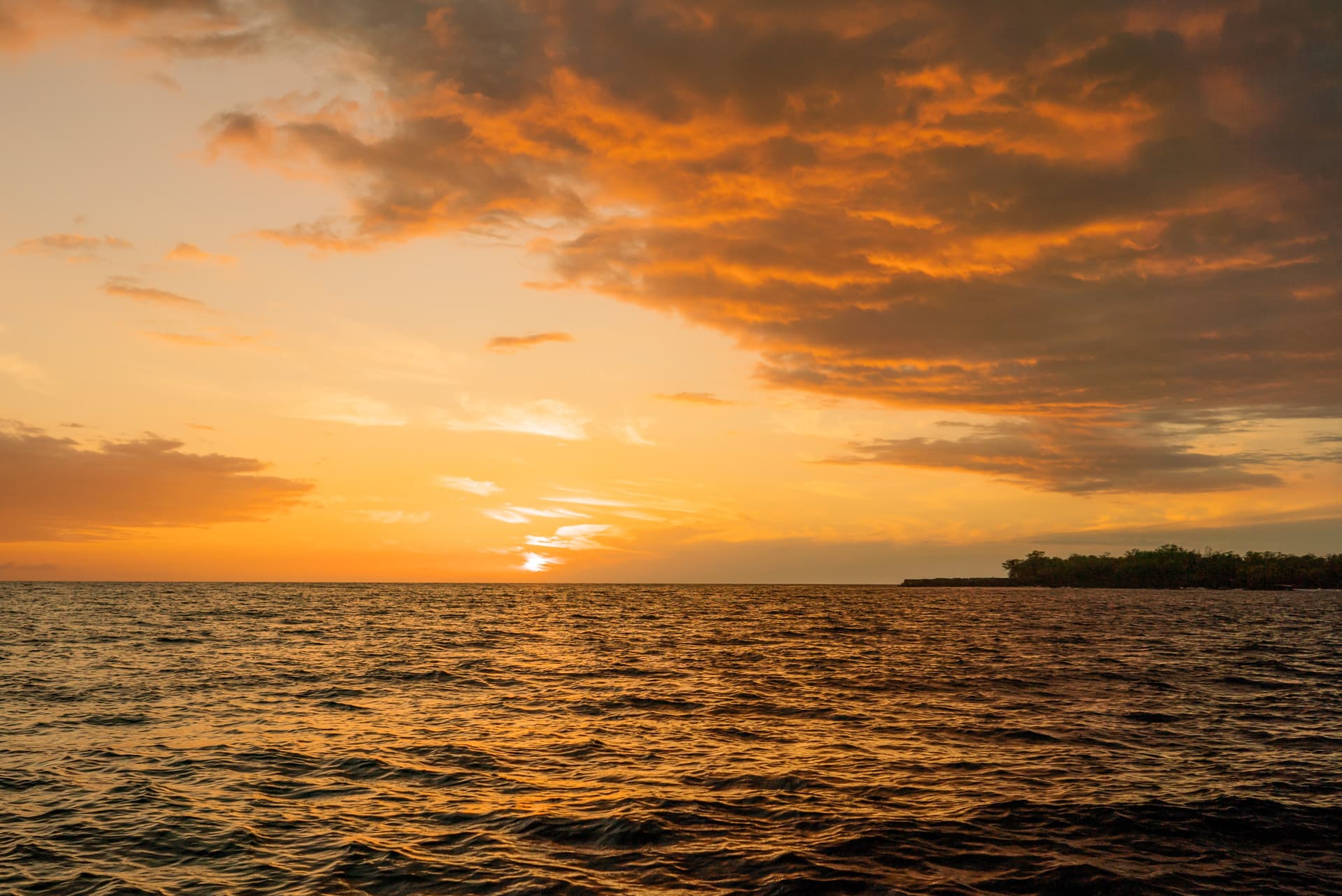 Kona Super-Raft Tours by Body Glove Cruises - تصویر 8