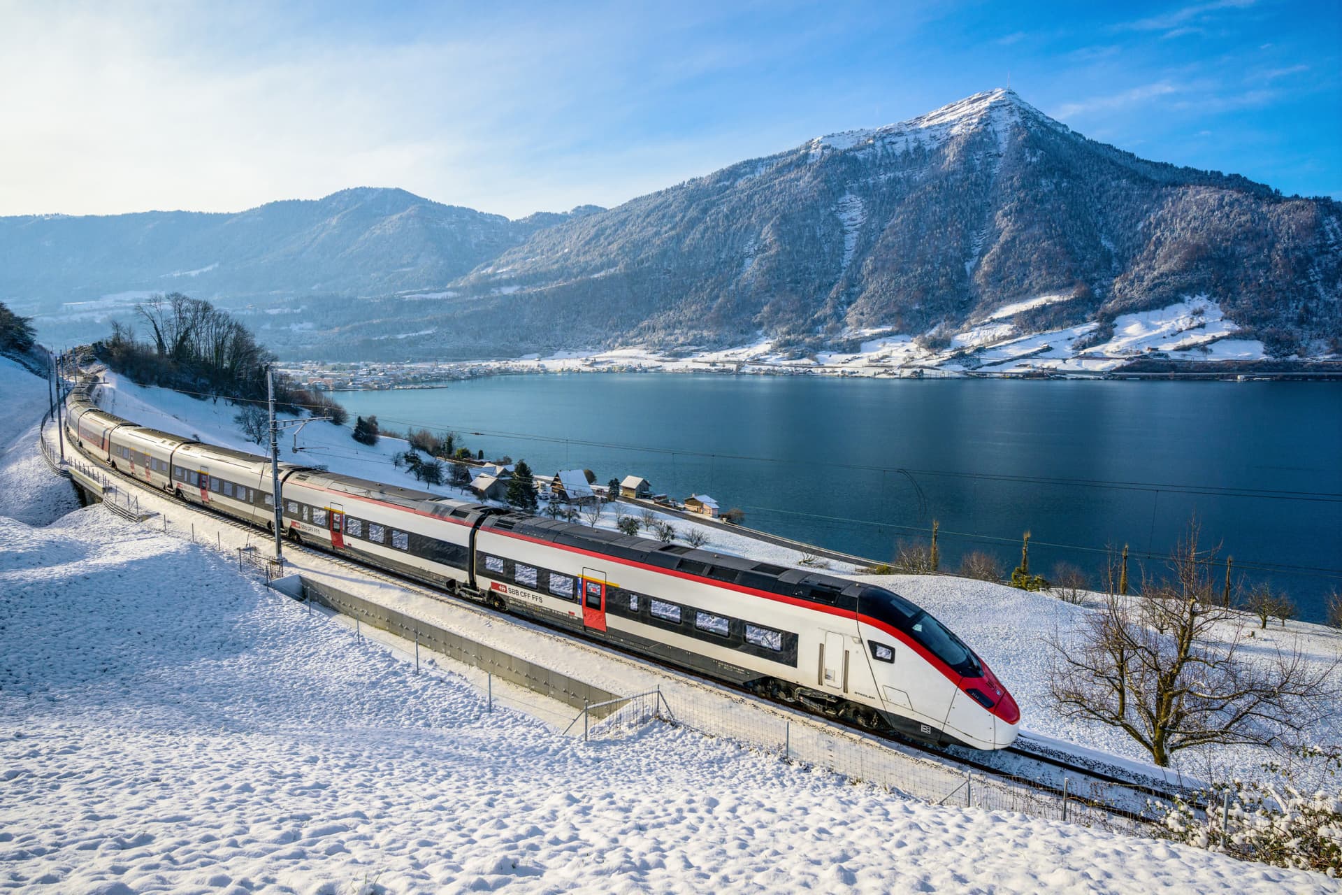 Swiss Travel Pass Flex (Non-Consecutive Days within One Month) - تصویر اصلی