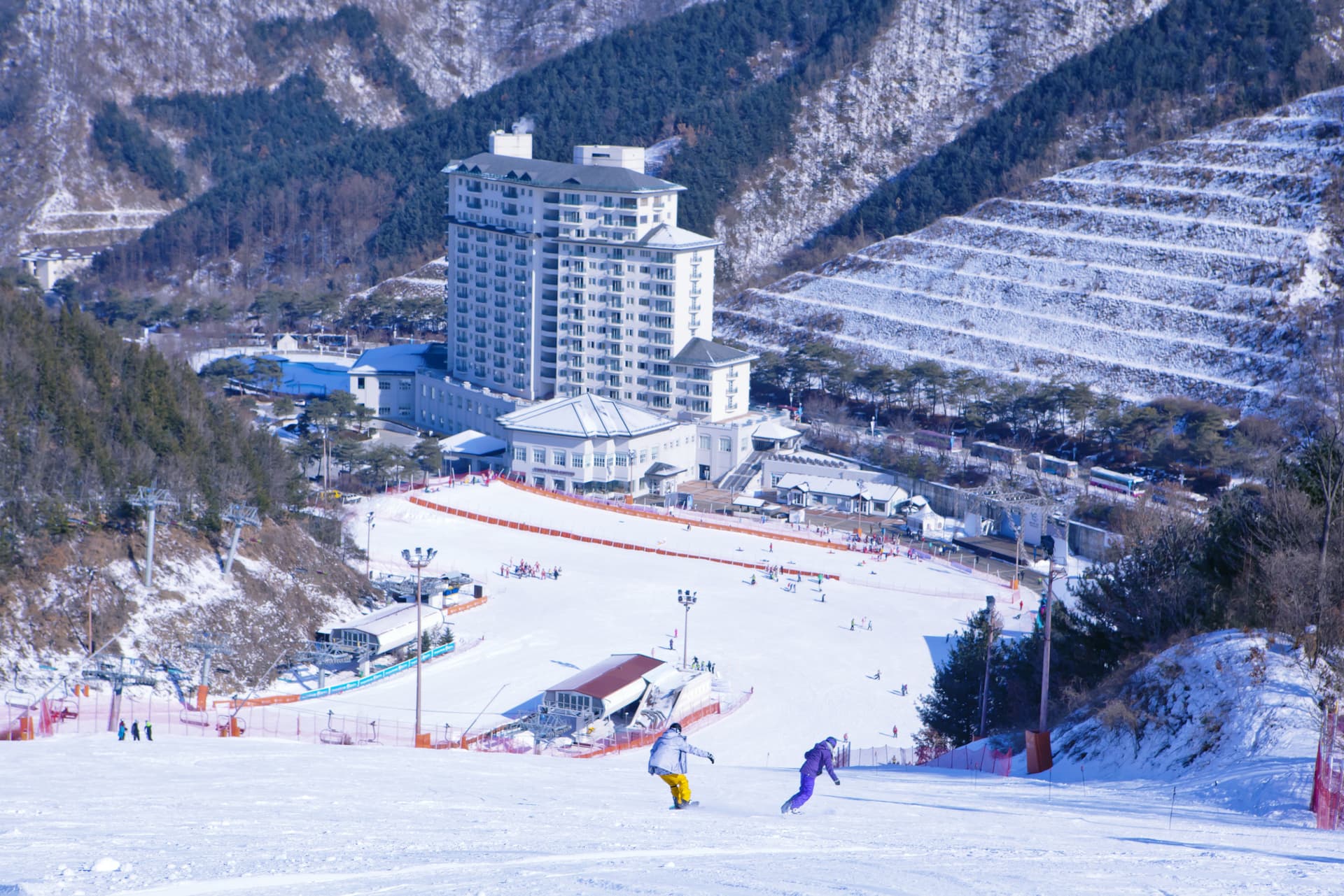 Elysian Gangchon Ski Resort and Nami Island Full-Day Tour from Seoul - تصویر 4