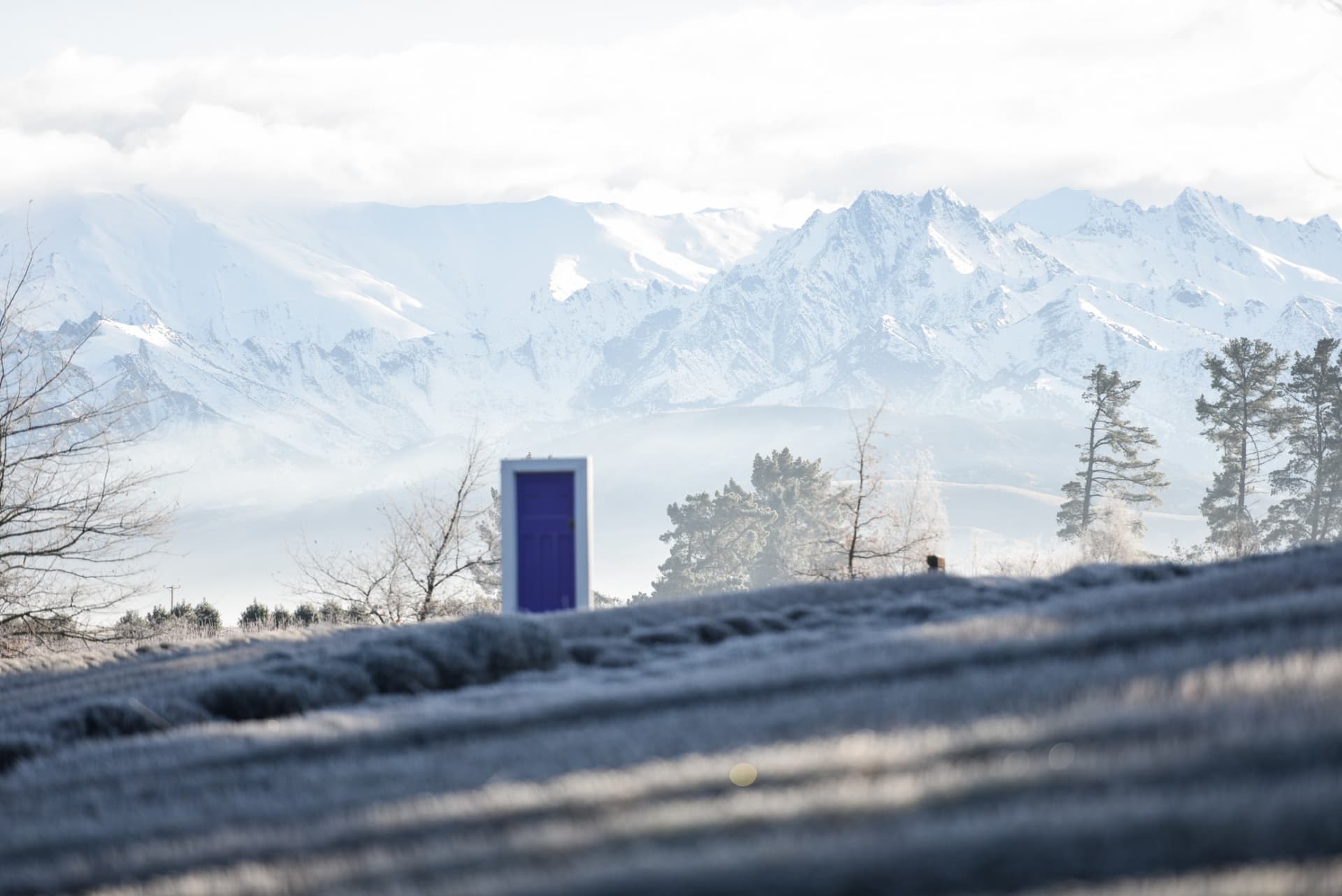Wanaka Lavender Farm Ticket - تصویر 8
