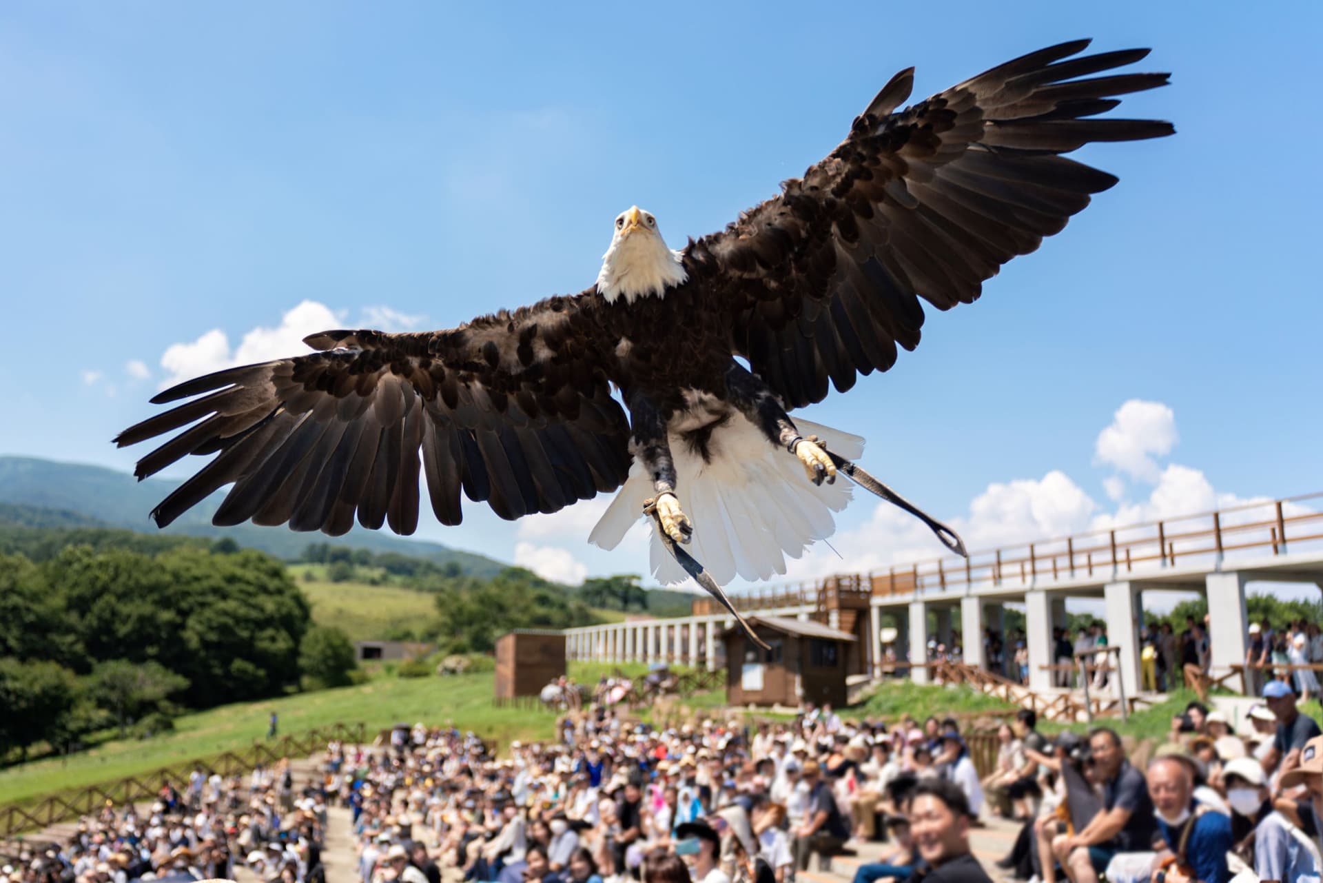 Nasu Animal Kingdom Ticket - تصویر 9