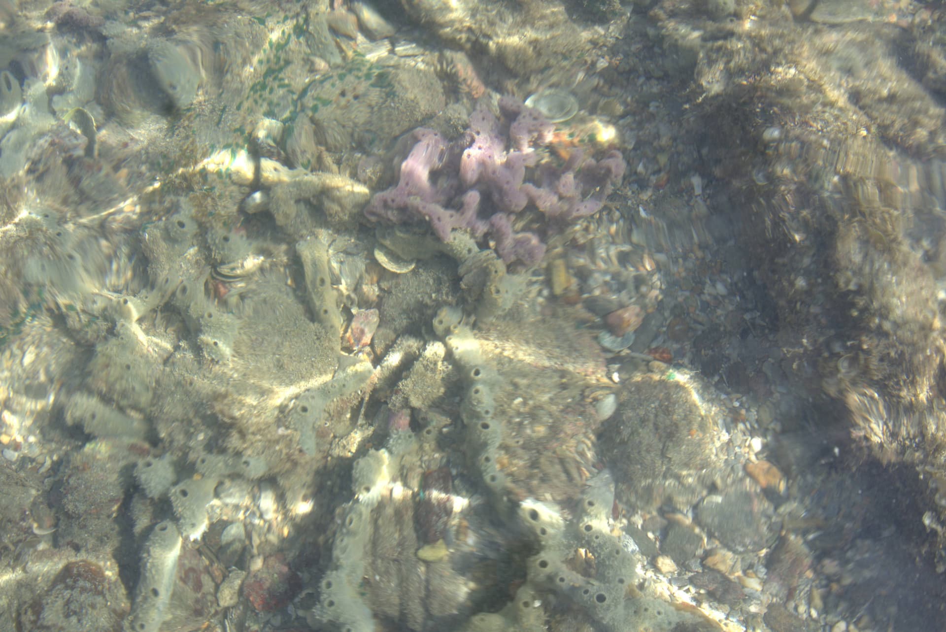 Desaru Beach and Tide Pool Walk - تصویر 36