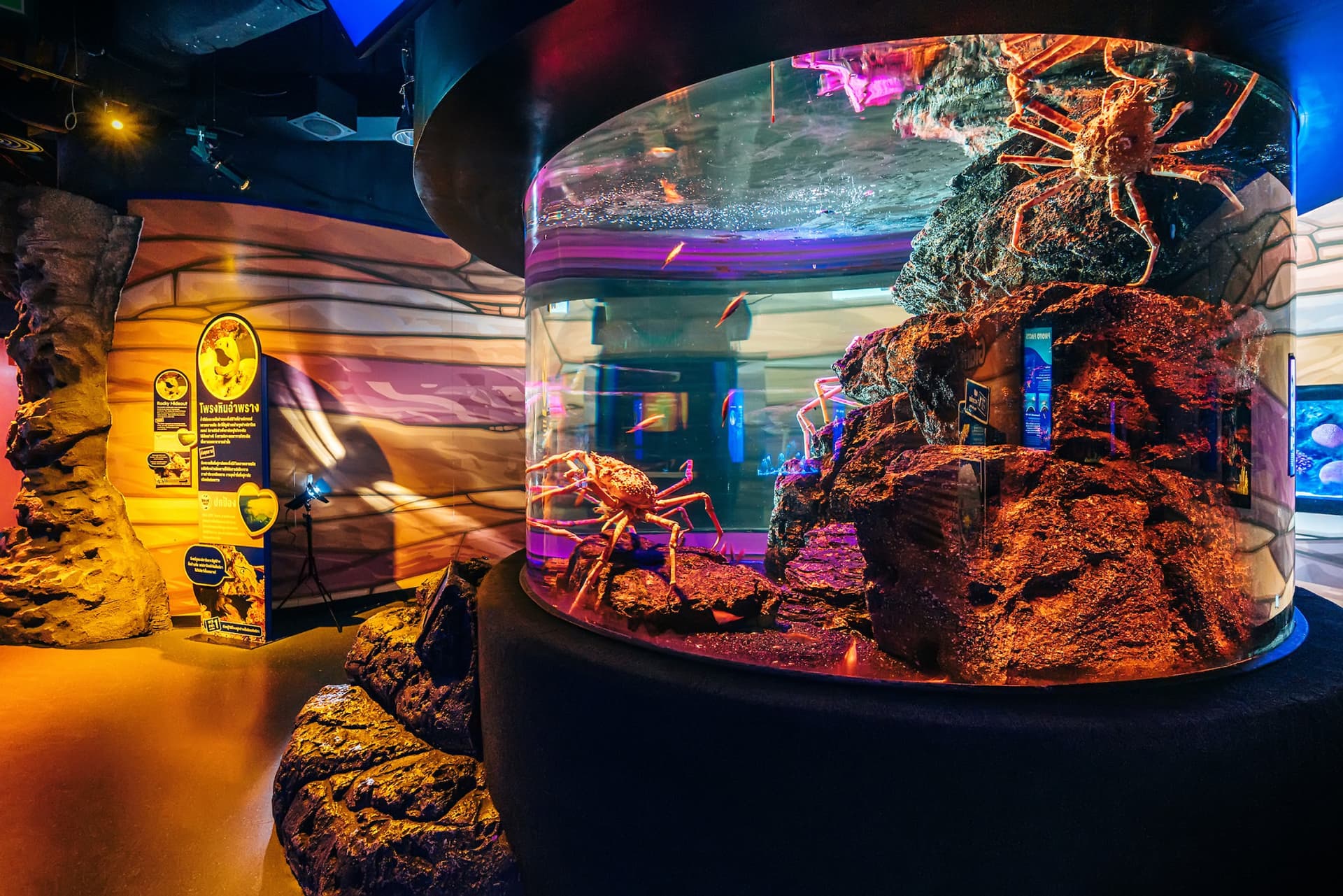 COMBO: SEA LIFE Bangkok Ocean World + Madame Tussauds Bangkok Tickets - تصویر 3