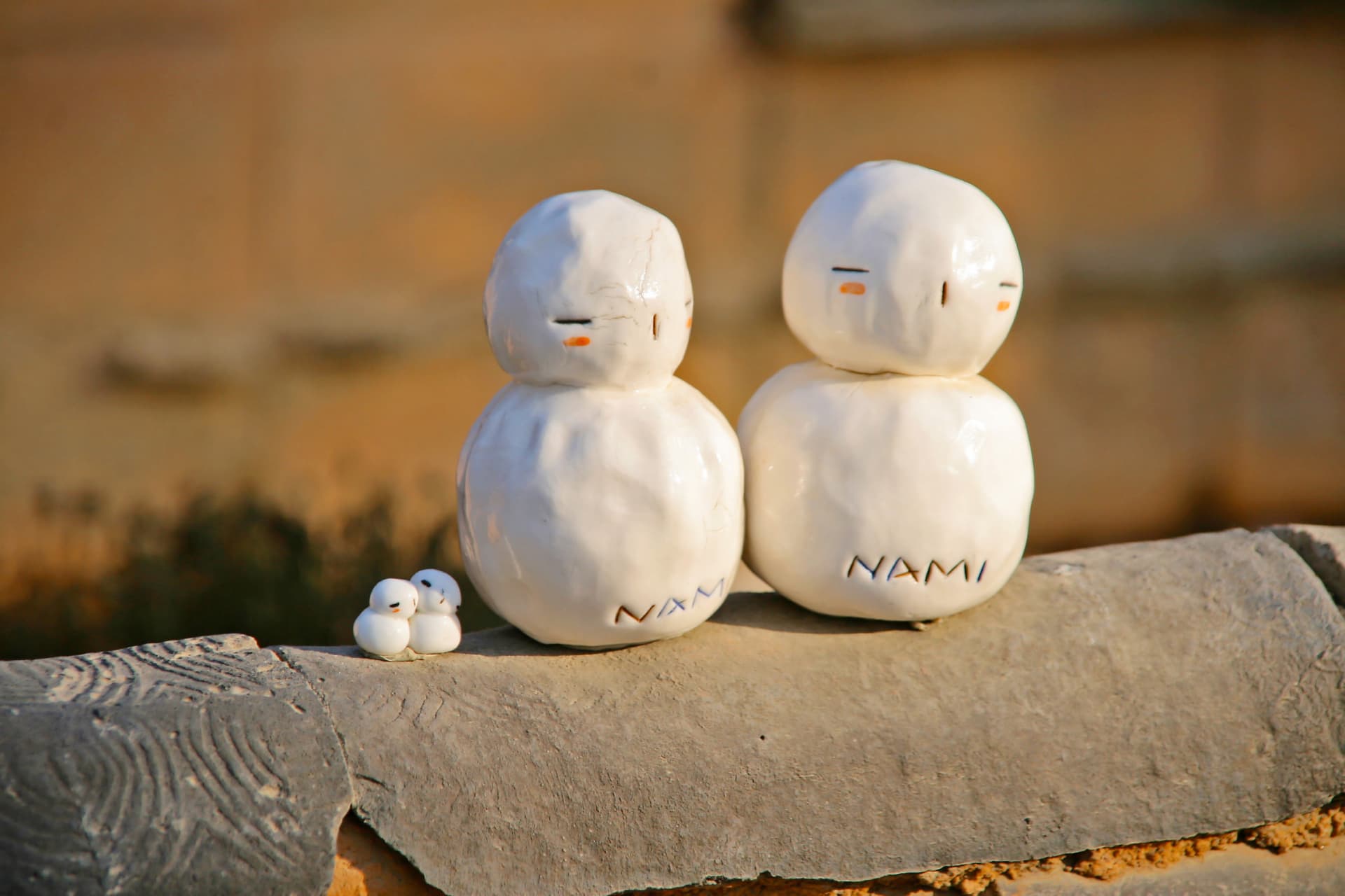 Nami Island and Garden of Morning Calm Tour from Seoul - تصویر 6