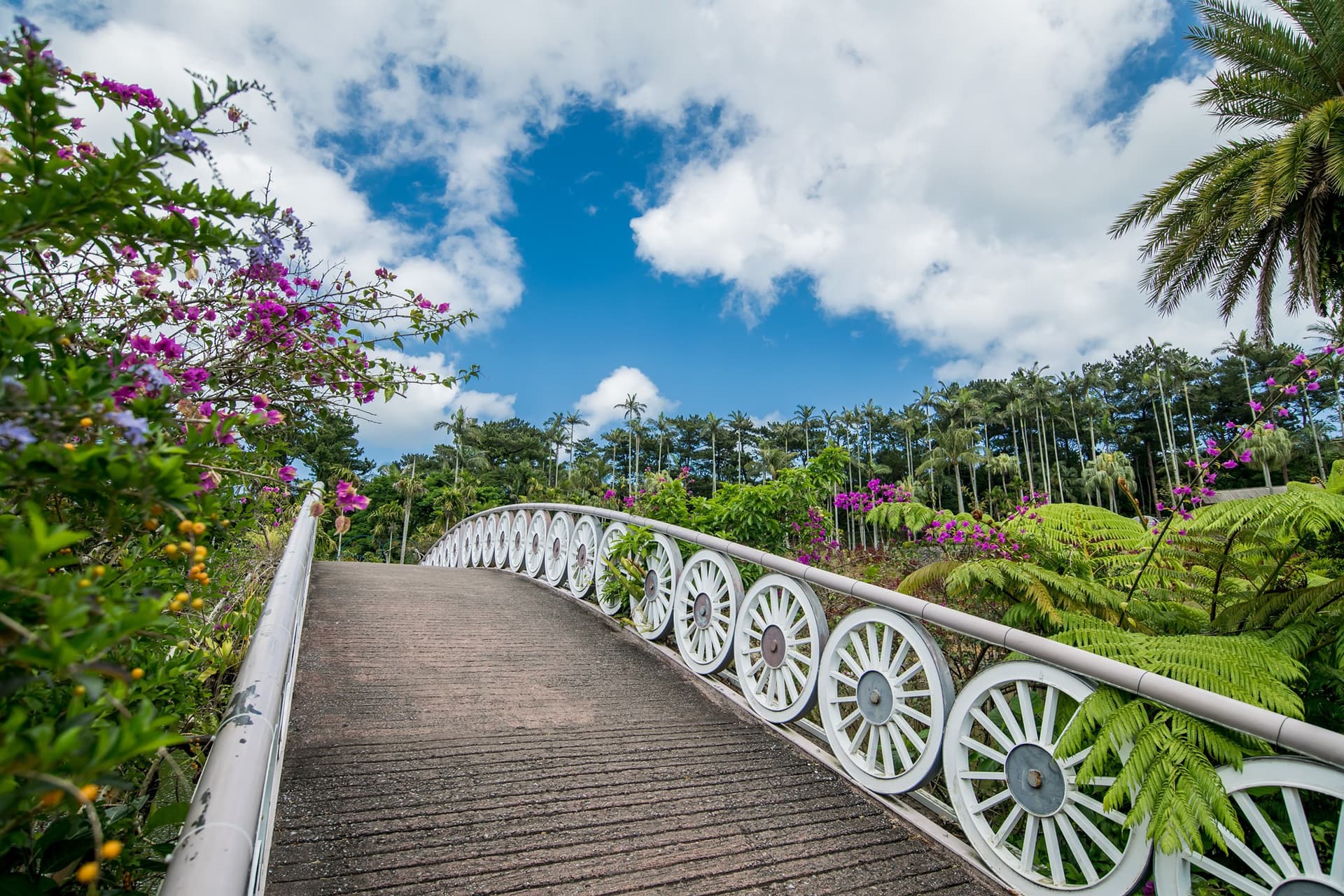 Okinawa Southeast Botanical Gardens - تصویر 12