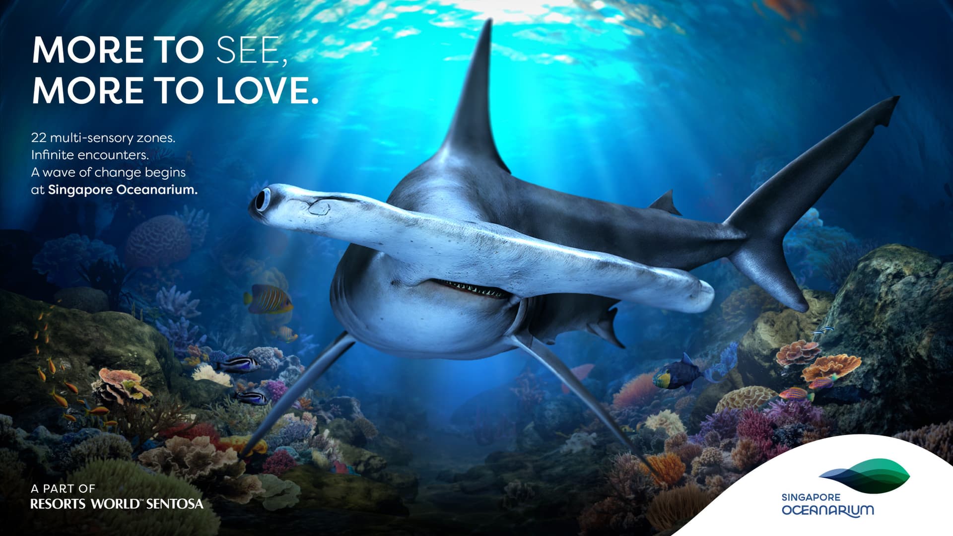 COMBO: Singapore Oceanarium + Albatross Hop-On Hop-Off Speedboat Tickets - تصویر 5