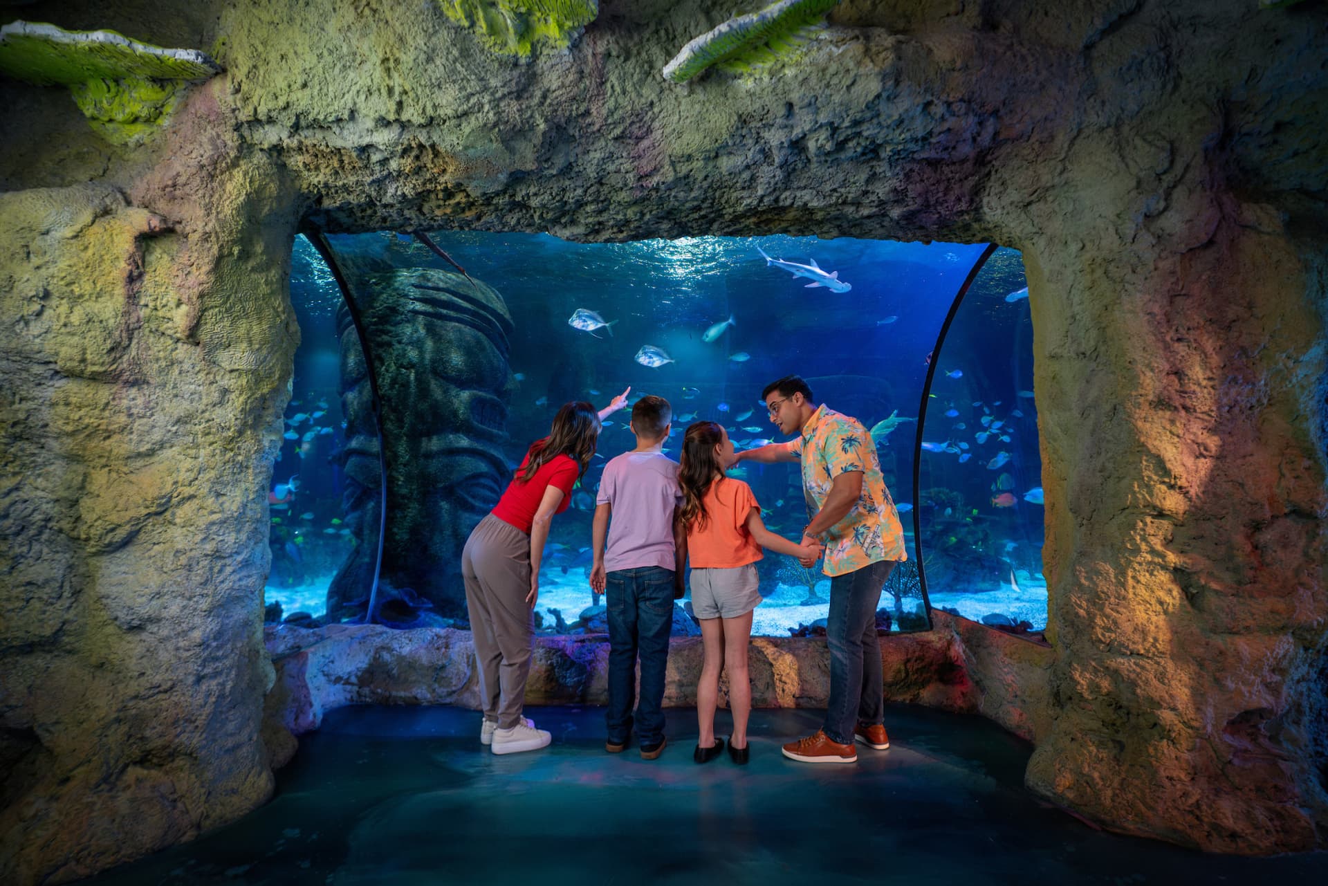 SEA LIFE Orlando Aquarium Ticket - تصویر 8