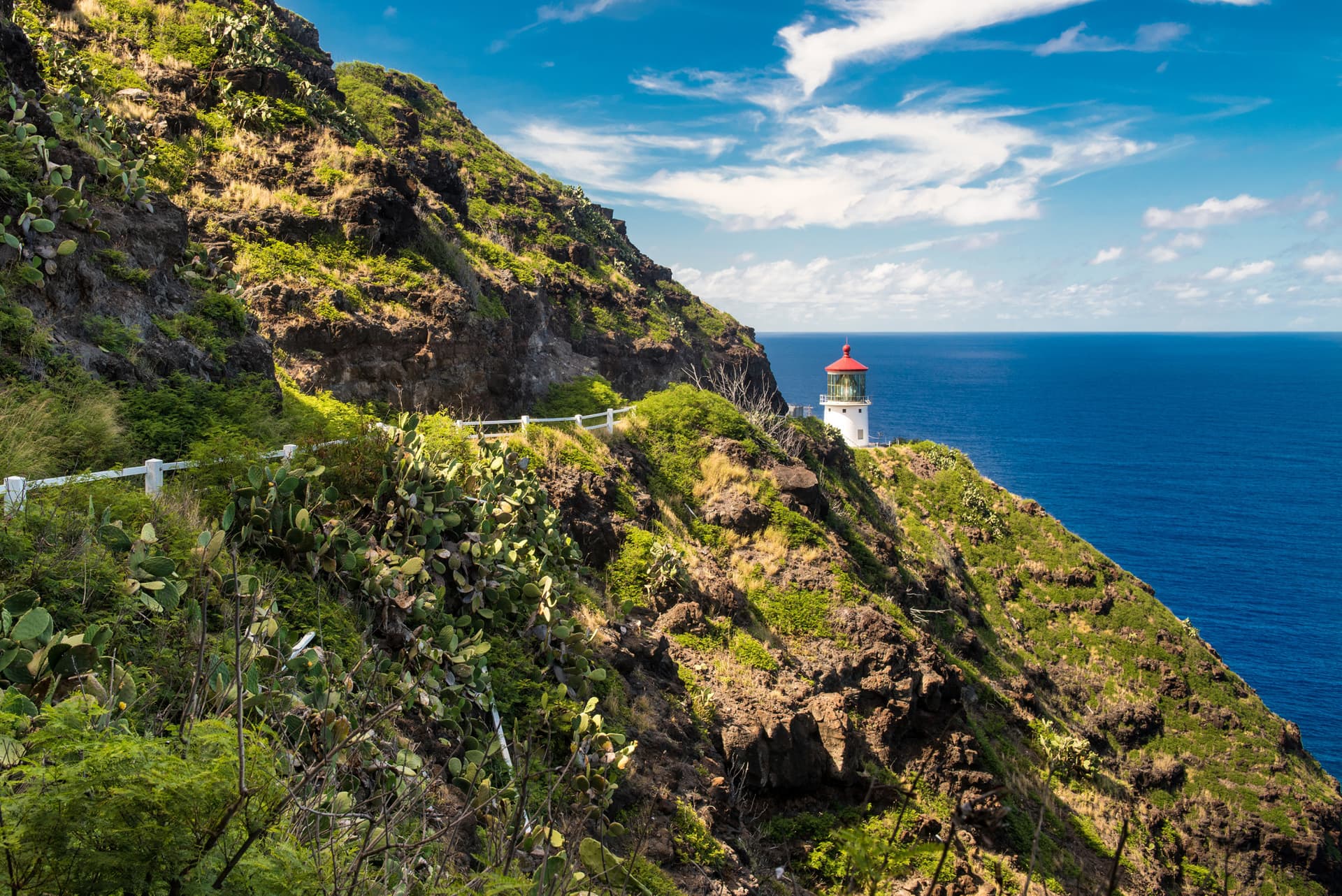 Go City Oahu All-Inclusive Pass: Save up to 50% on Attractions - تصویر 17