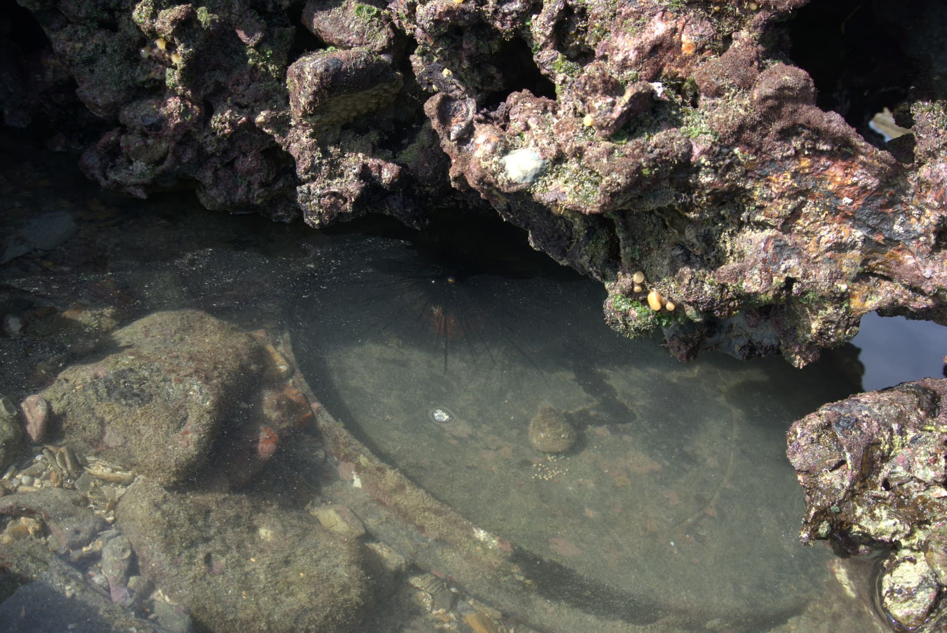Desaru Beach and Tide Pool Walk - تصویر 37