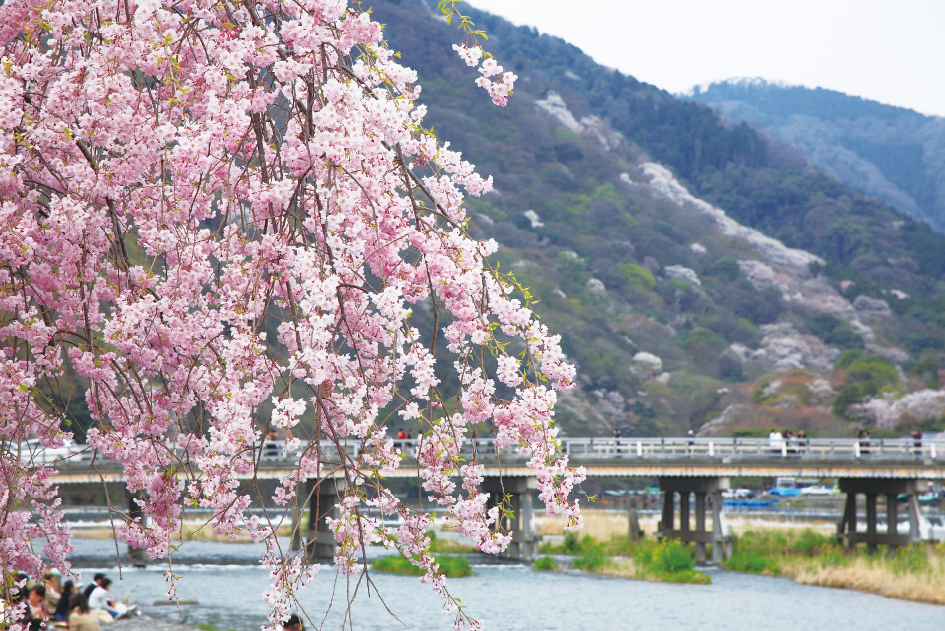 COMBO: Osaka Amazing Pass + Hankyu Pass - تصویر 9