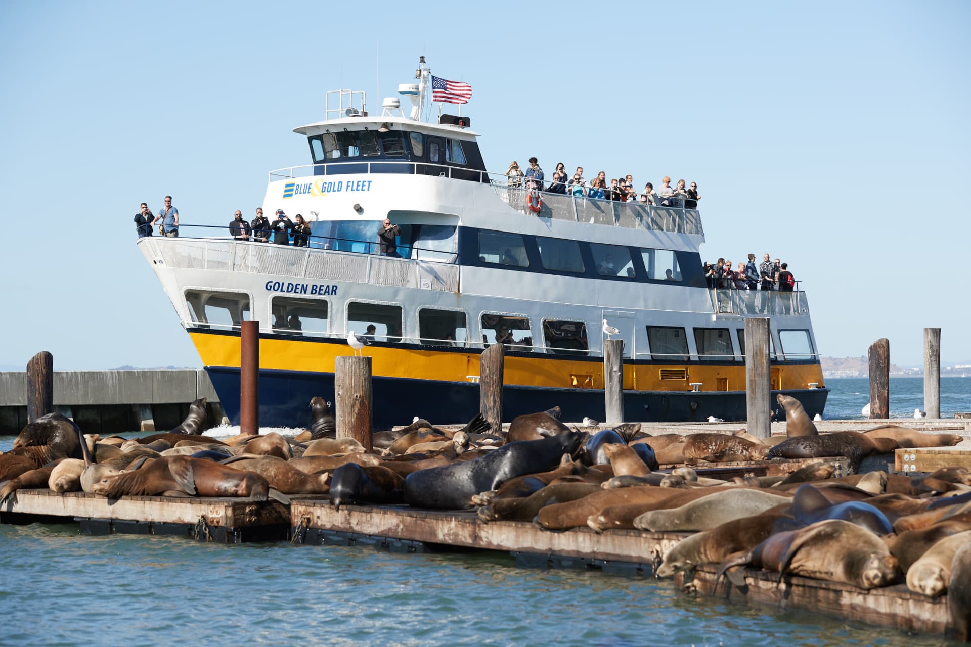 Go City San Francisco All-Inclusive Pass: Save up to 50% on Attractions - تصویر 25