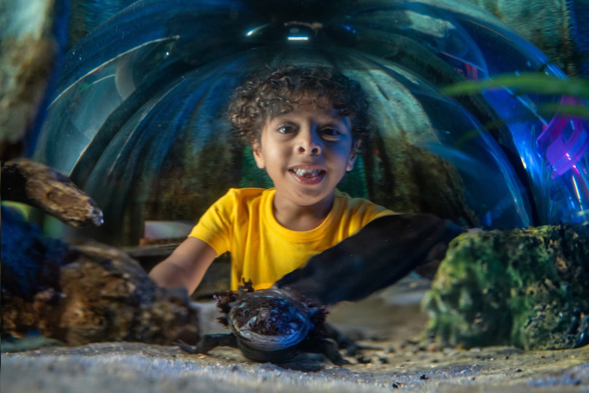 COMBO: Madame Tussauds Orlando + SEA LIFE Orlando Aquarium Ticket - تصویر 8