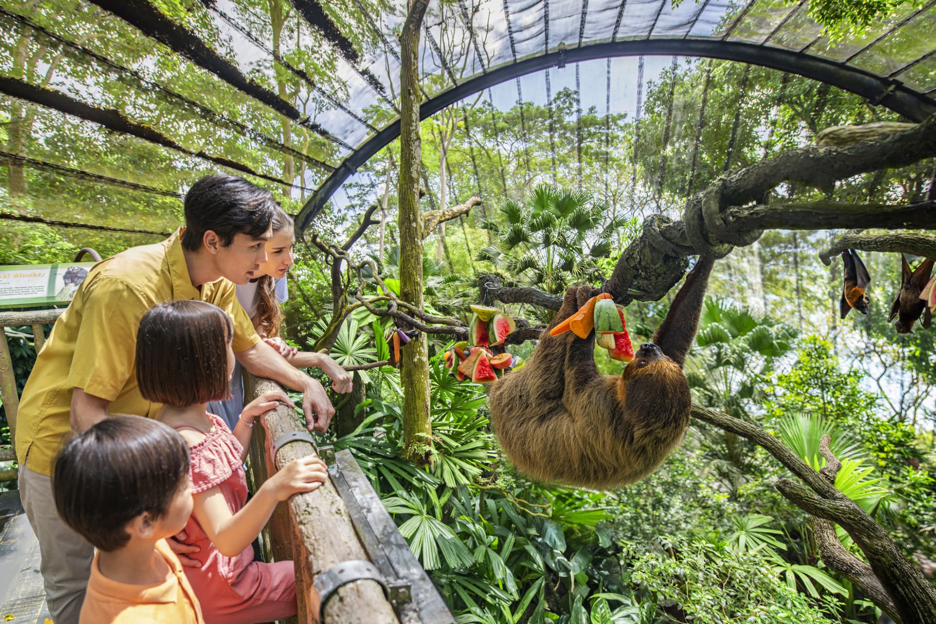Mandai Destination Pass: Up to 2 Attractions in 1 Day - تصویر اصلی