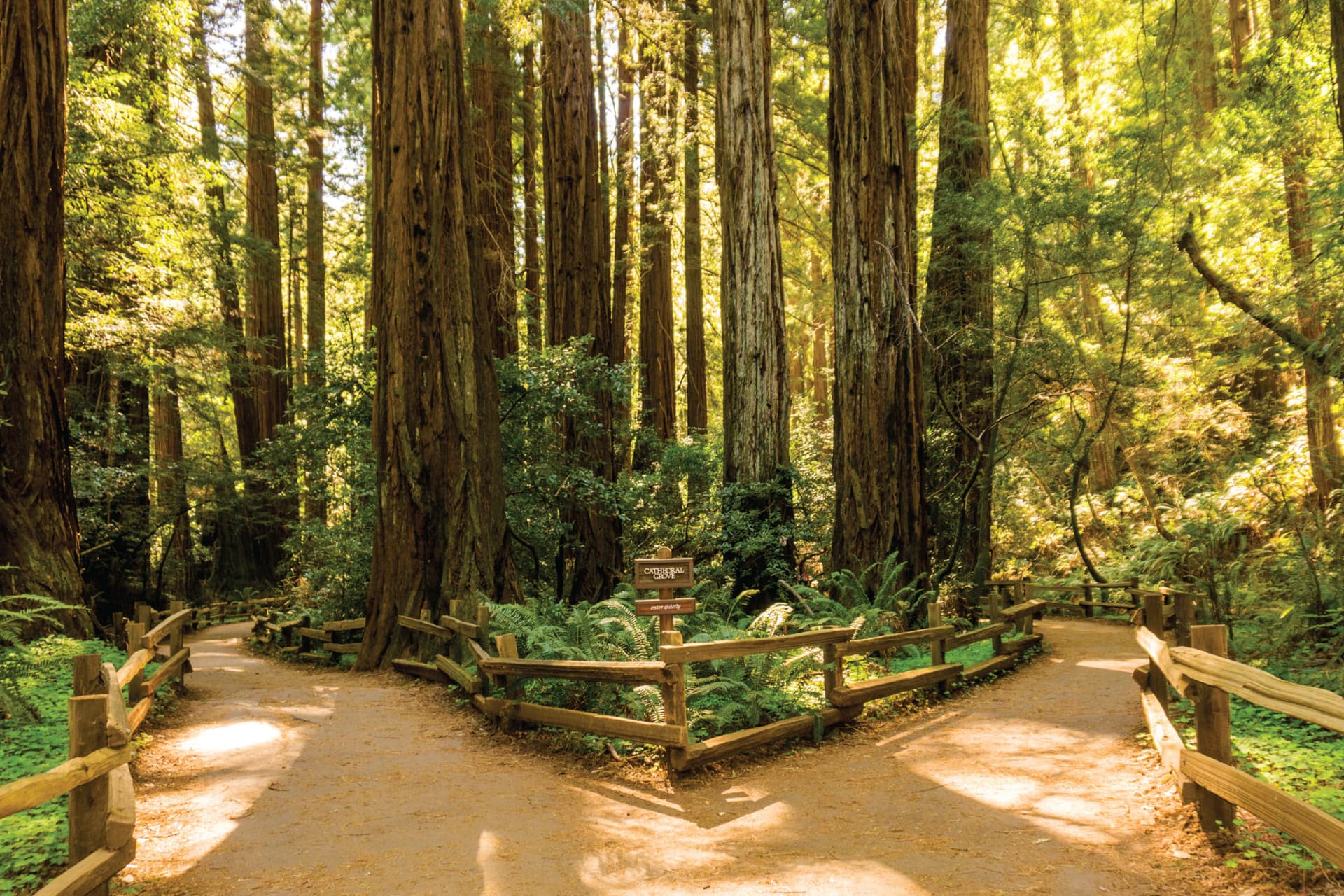 San Francisco Woods & Wine Country Full-Day Tour - تصویر 2