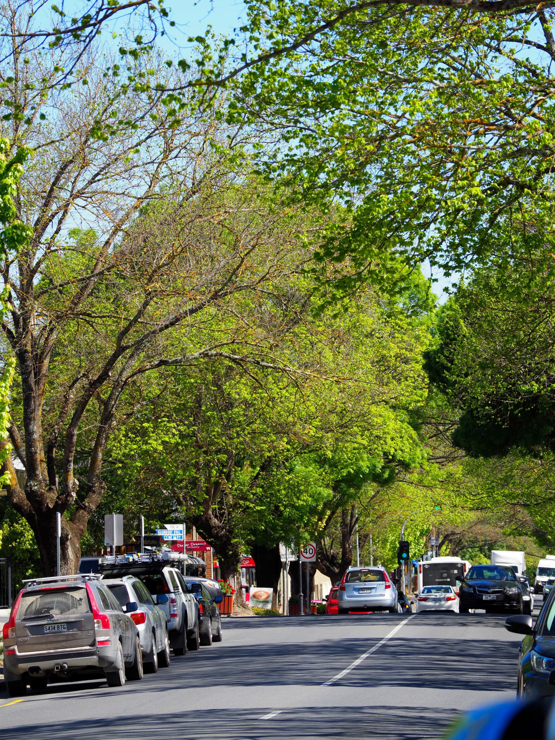 Adelaide Hills and Hahndorf Tour - تصویر 3