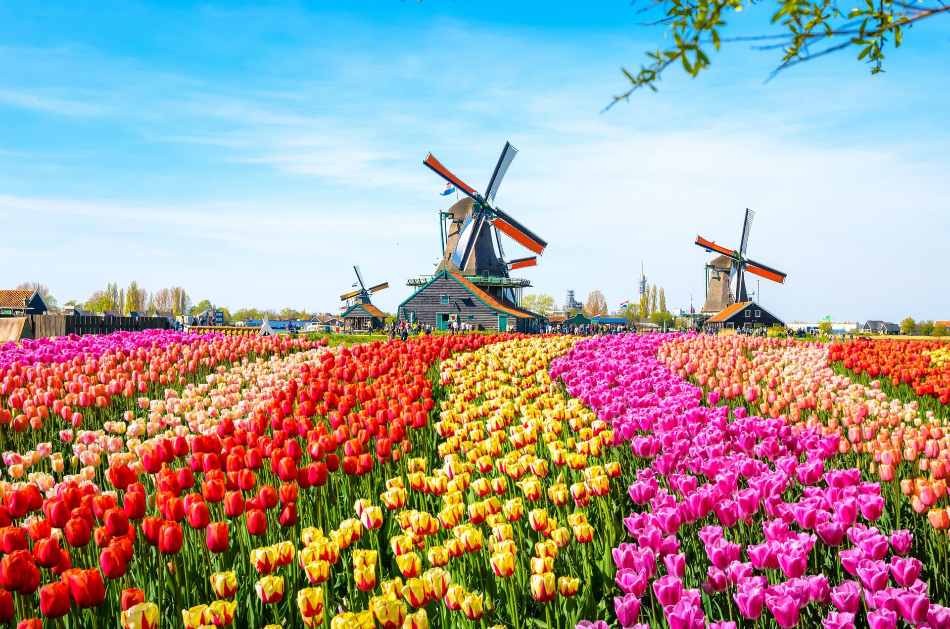 Go City Amsterdam Explorer Pass: Save up to 50% on Attractions - تصویر 28