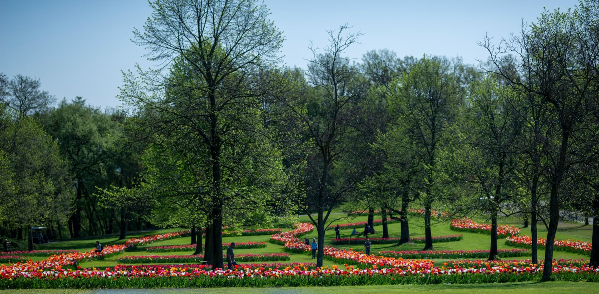 Parco Giardino Sigurtà Ticket - تصویر 14