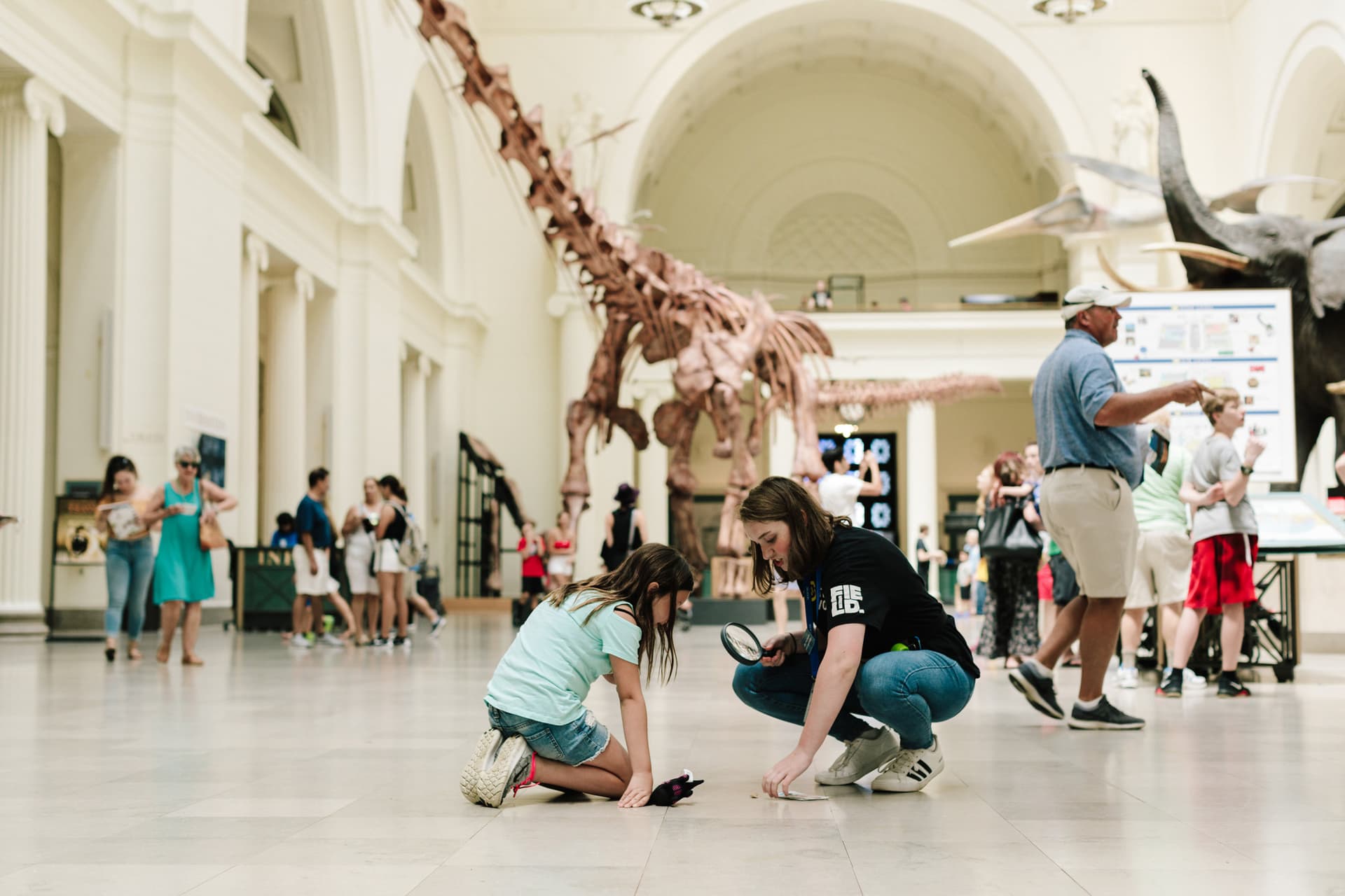 Go City Chicago Explorer Pass: Save up to 50% on Attractions - تصویر 29