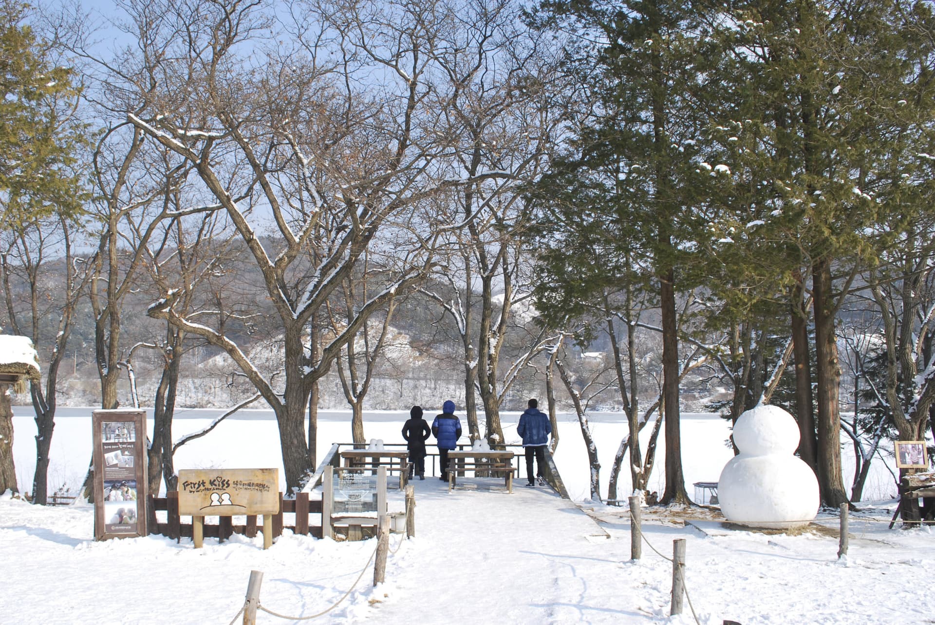 Nami Island and Garden of Morning Calm Tour from Seoul - تصویر 5