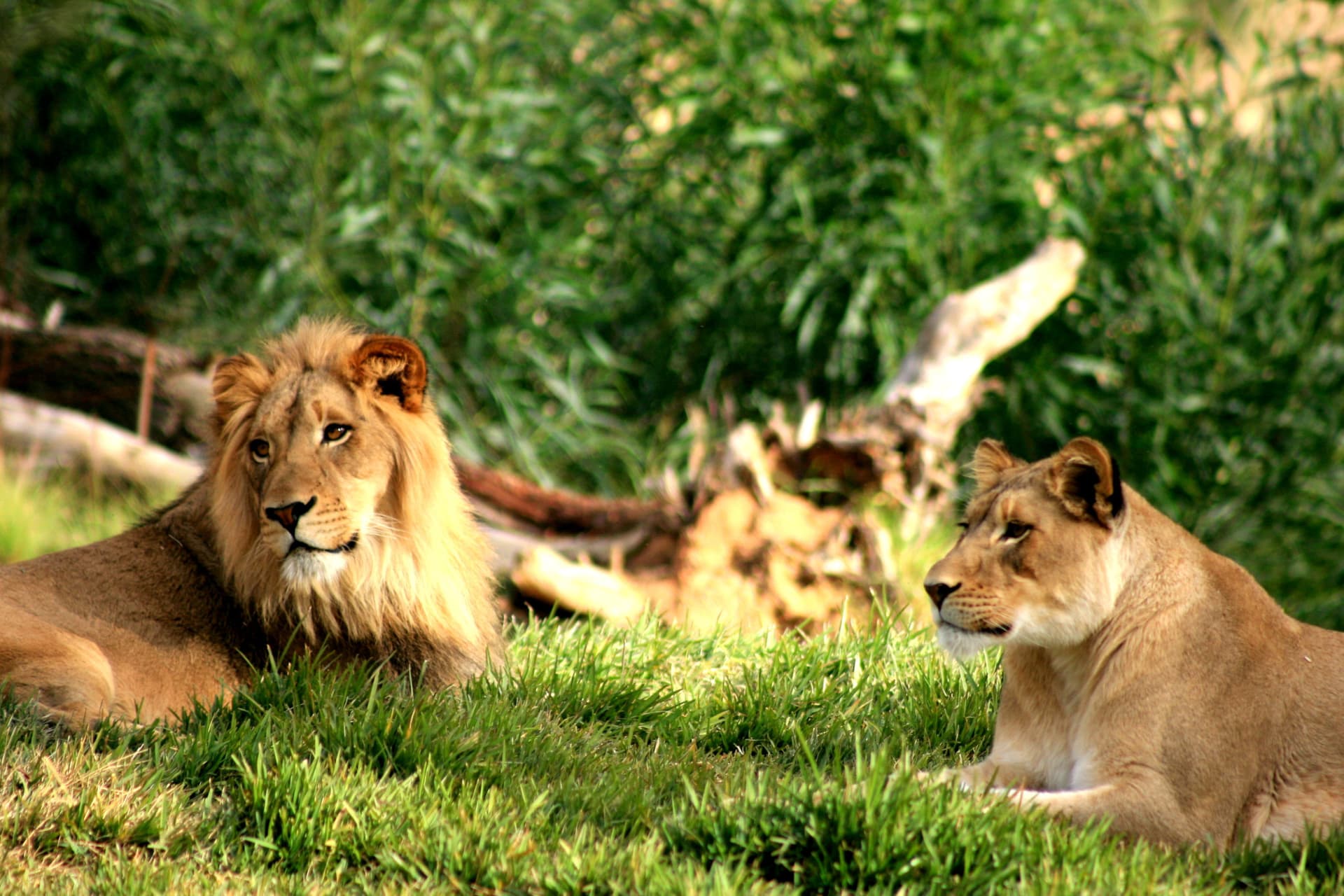 Go City Philadelphia Explorer Pass: Save up to 50% on Attractions - تصویر 12