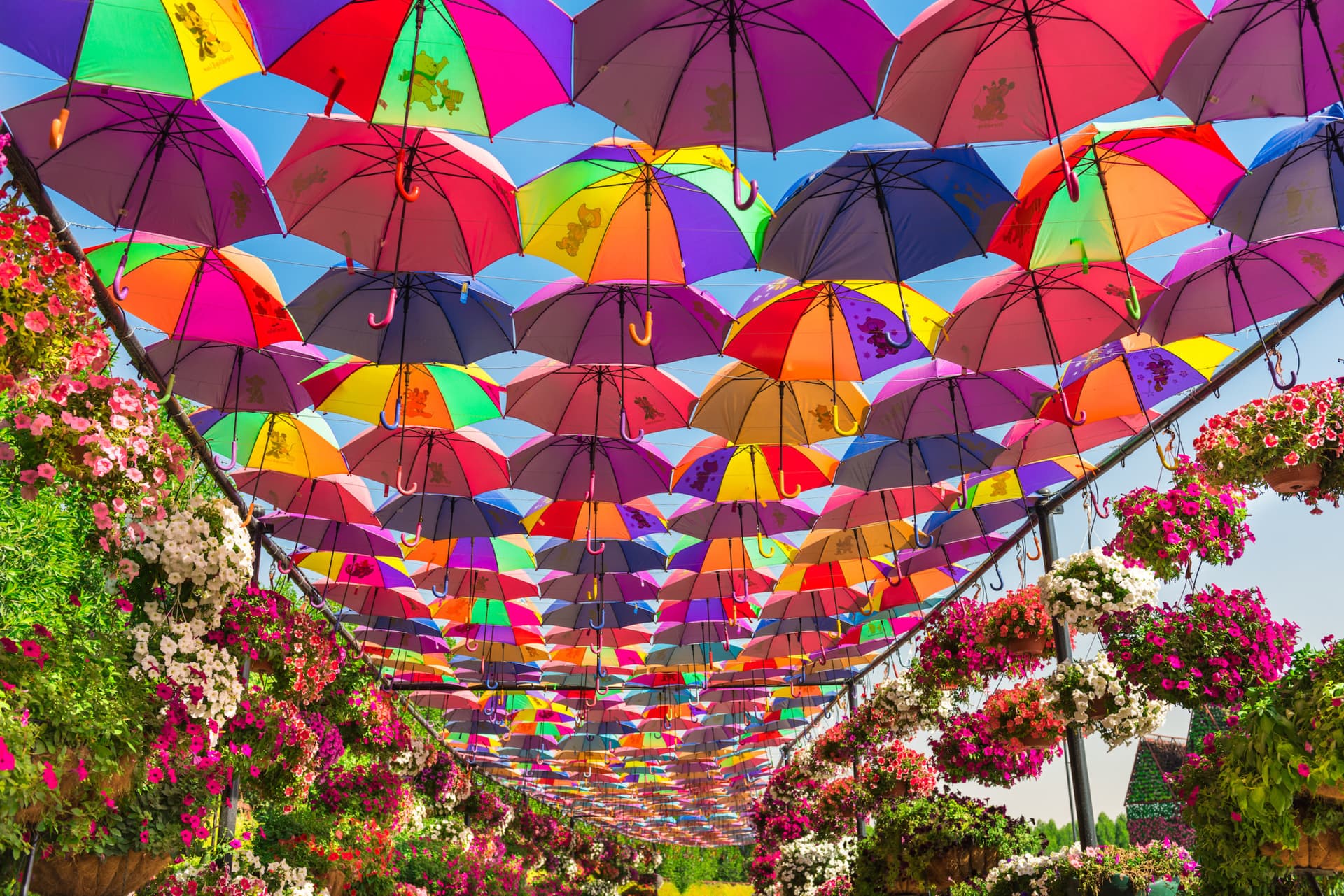 COMBO: Dubai Miracle Garden + Dubai Butterfly Garden Tickets - تصویر 3