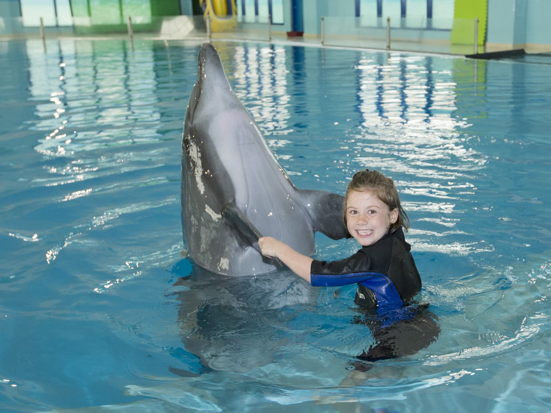 Dubai Dolphinarium Ticket - تصویر 14