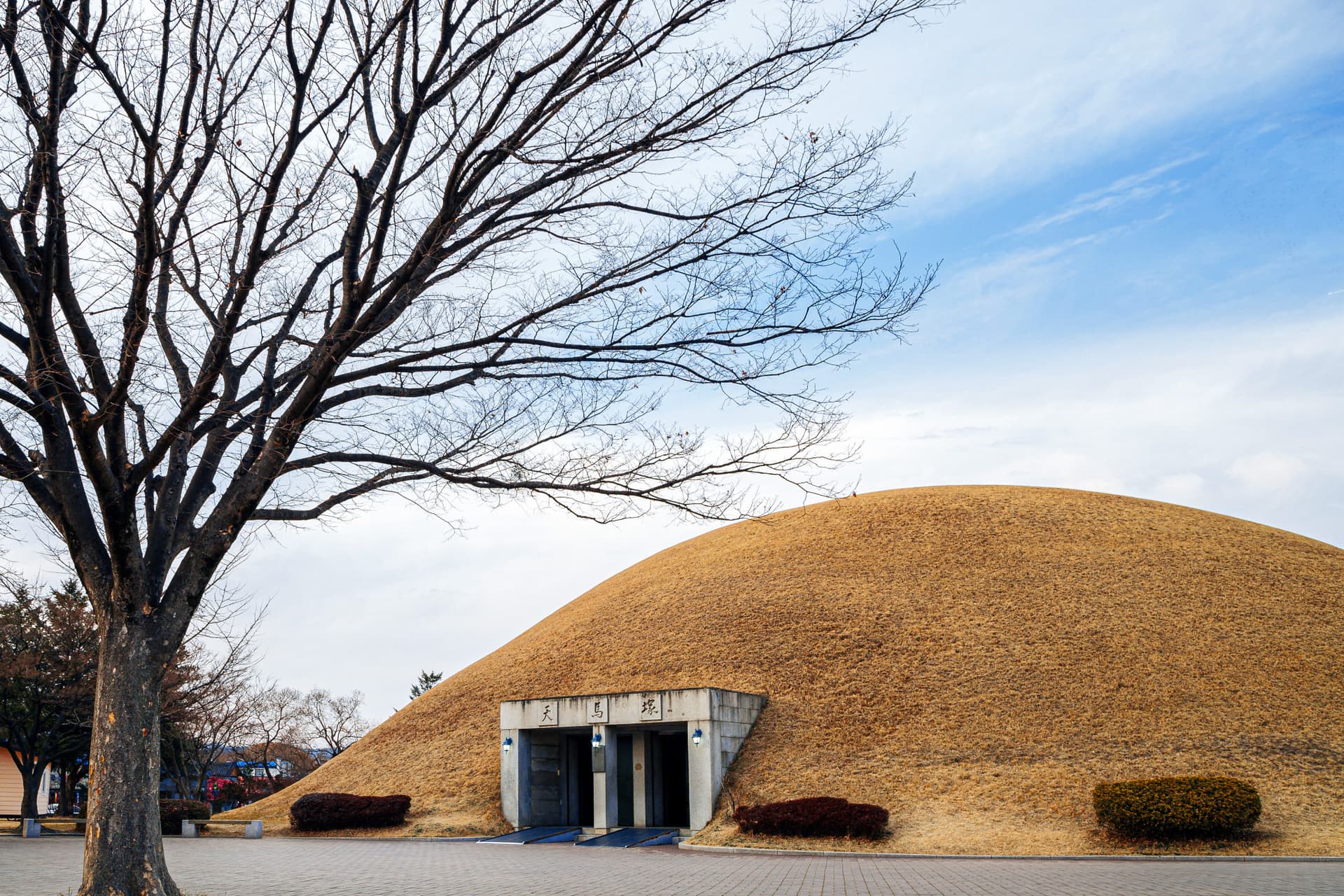Gyeongju Silla Heritage Full-Day Tour with Seokguram Grotto from Busan - تصویر 5