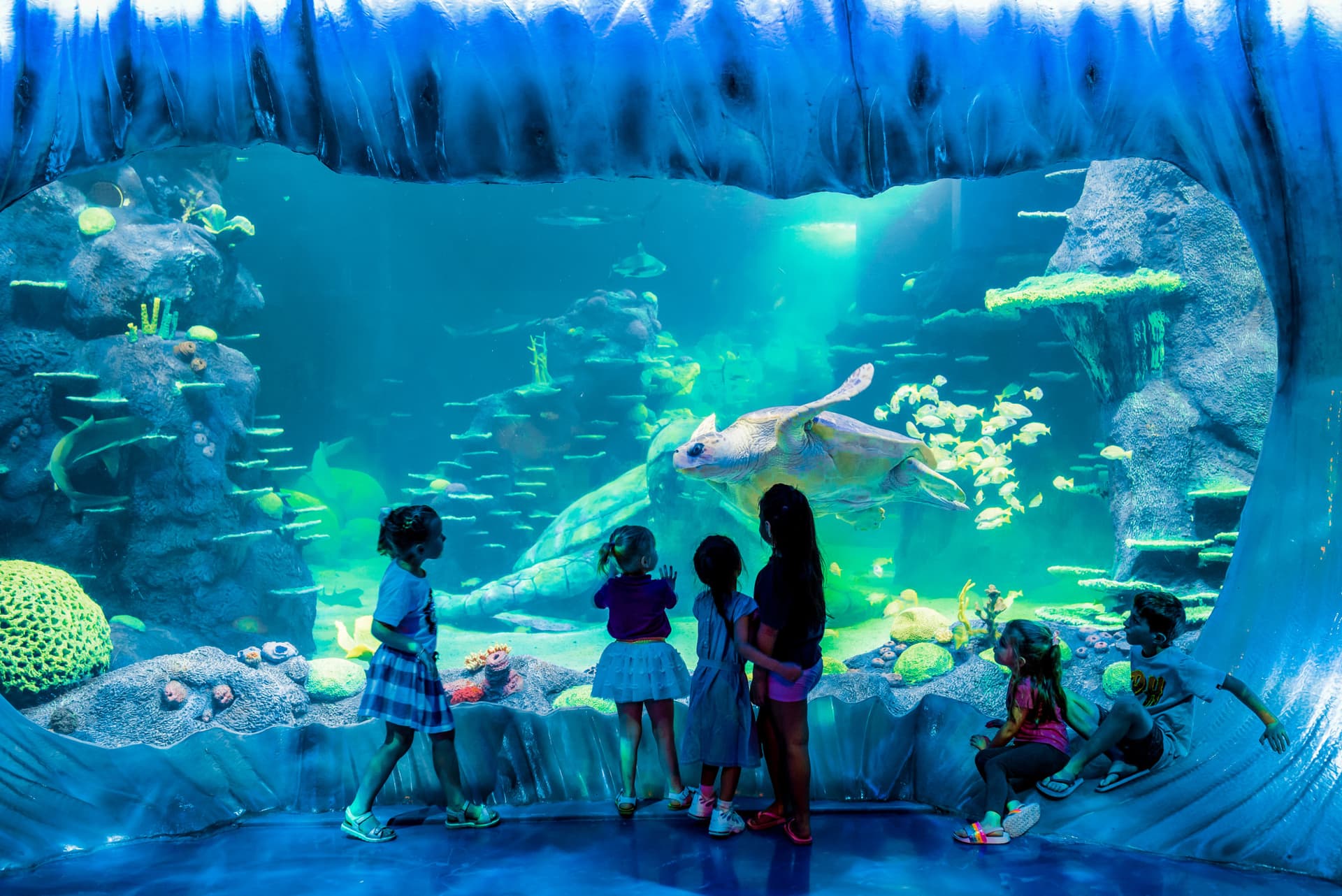 Go City Sydney All-Inclusive Pass: Save up to 50% on Attractions - تصویر 30