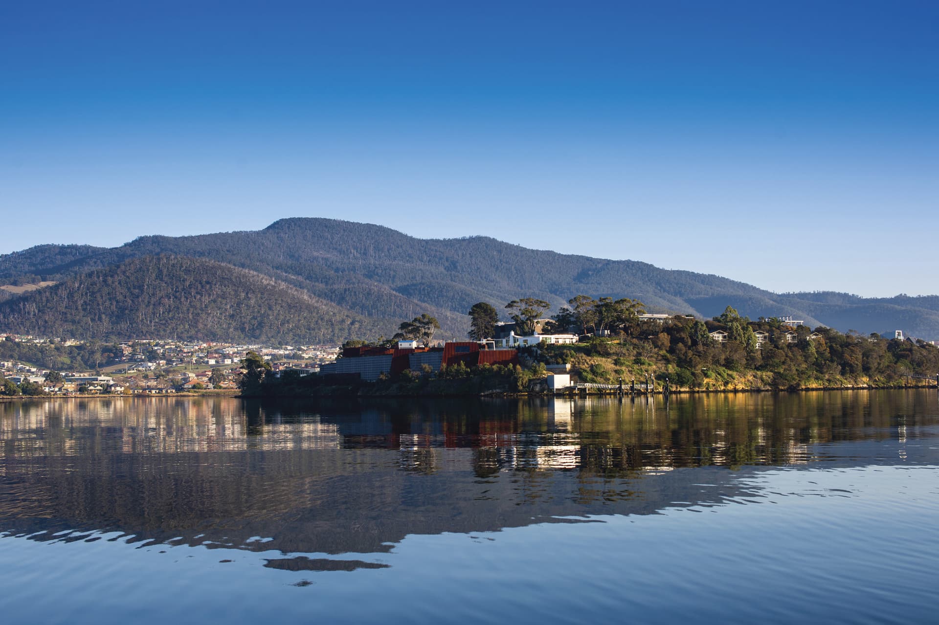 Mount Wellington Tour - تصویر 3