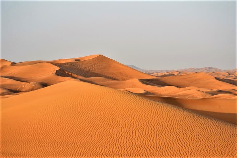 Morning Desert Safari Tour from Dubai - تصویر 6