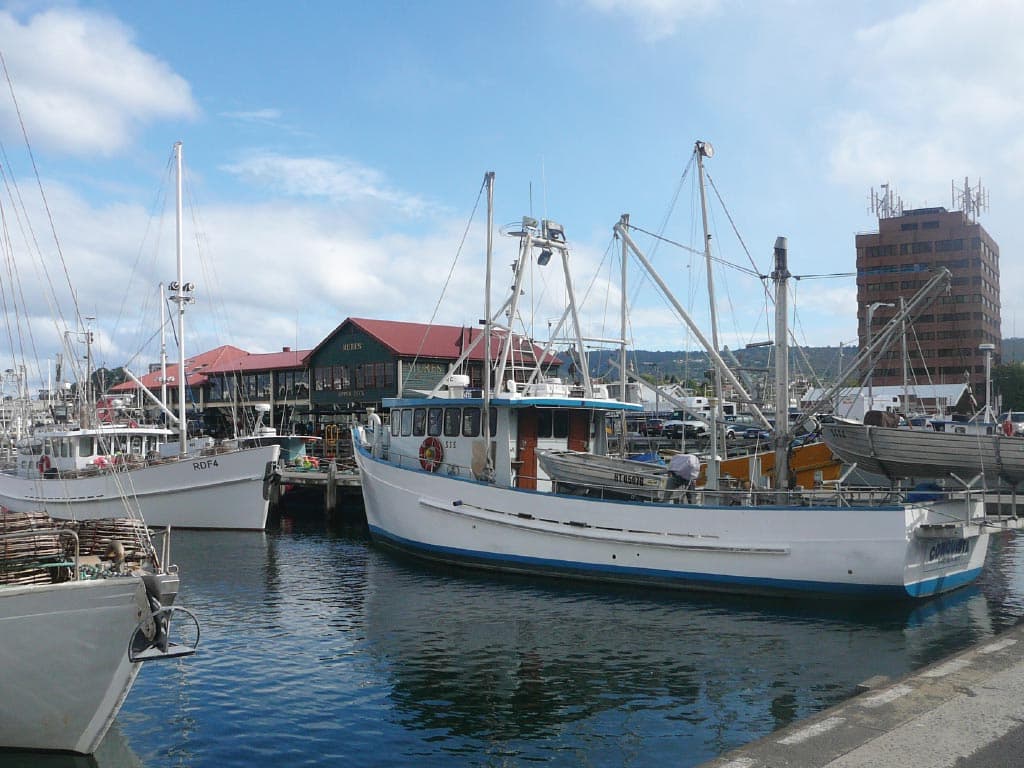 Bonorong Wildlife Sanctuary and Hobart City Tour - تصویر 11