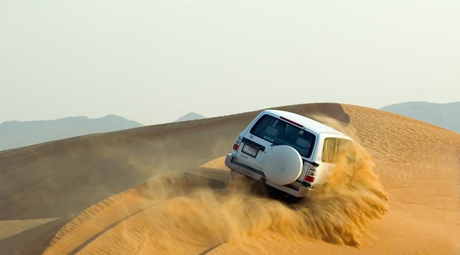 Morning Desert Safari Tour from Dubai - تصویر 2