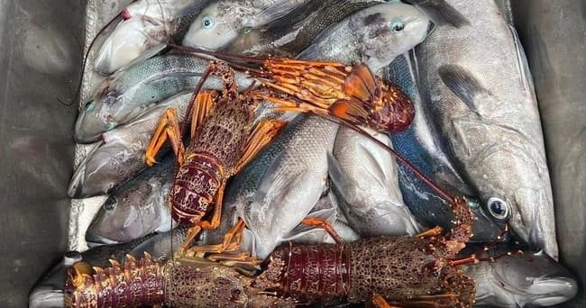 Fishing and Crayfish Trip from Kaikoura - تصویر 6