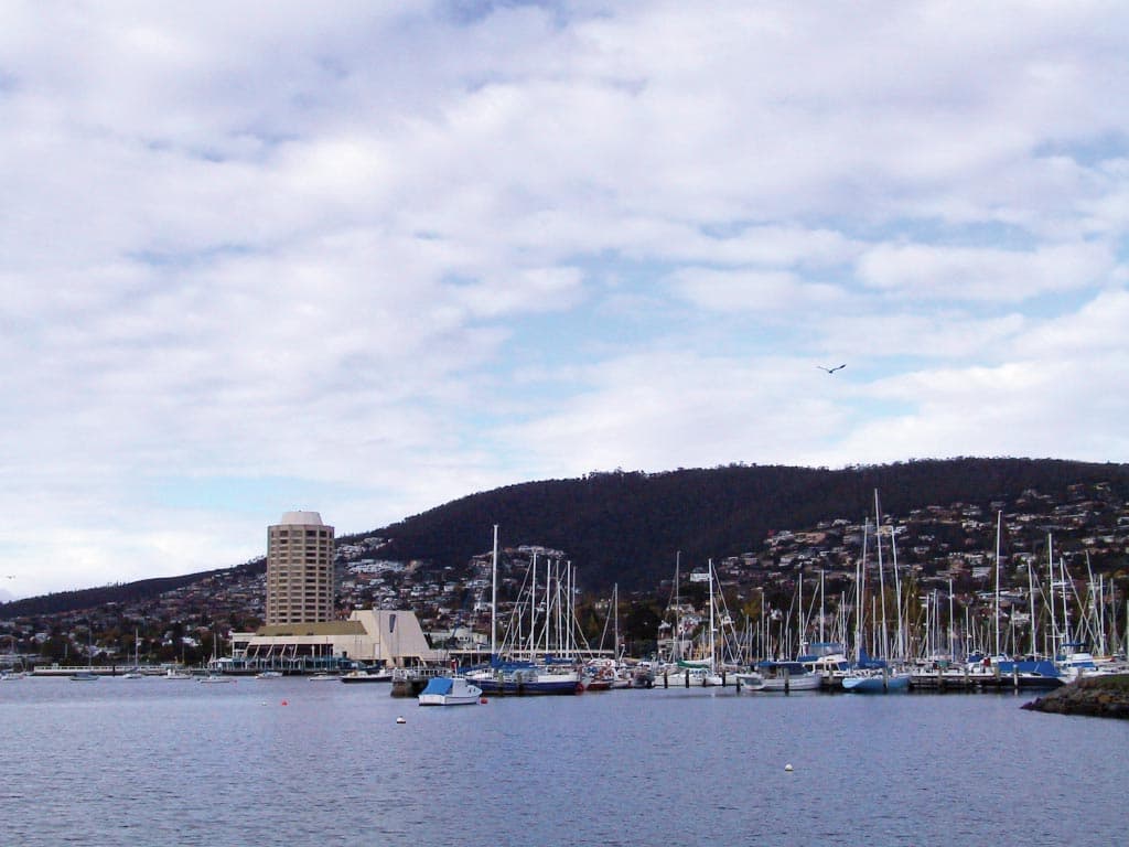 Bonorong Wildlife Sanctuary and Hobart City Tour - تصویر 10