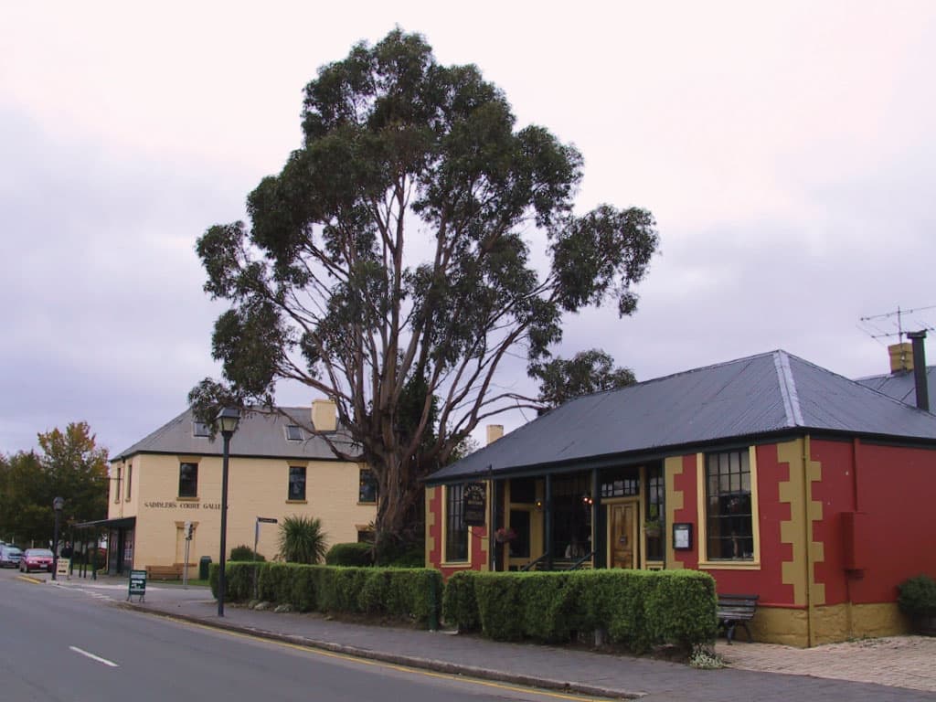 Mount Wellington and Hobart City Tour - تصویر 8